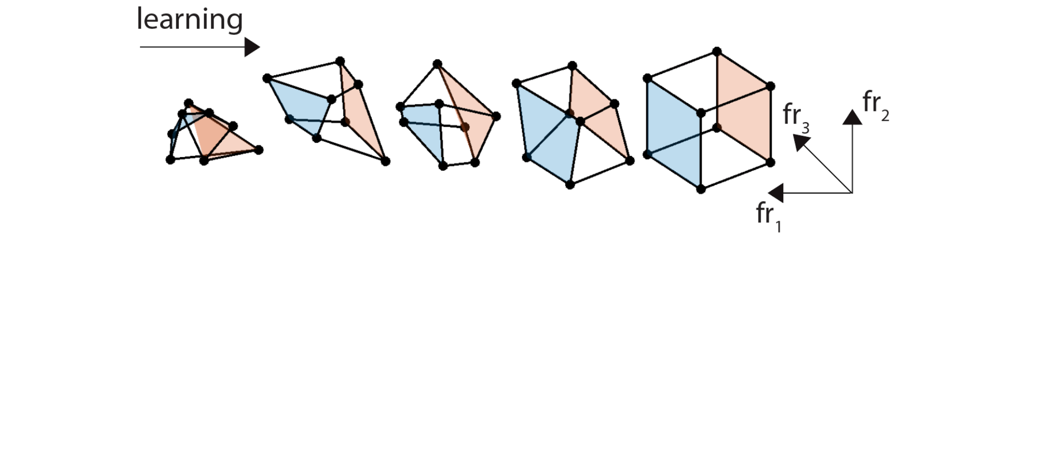 The shape of our thoughts: what does geometry have to do with abstract reasoning?