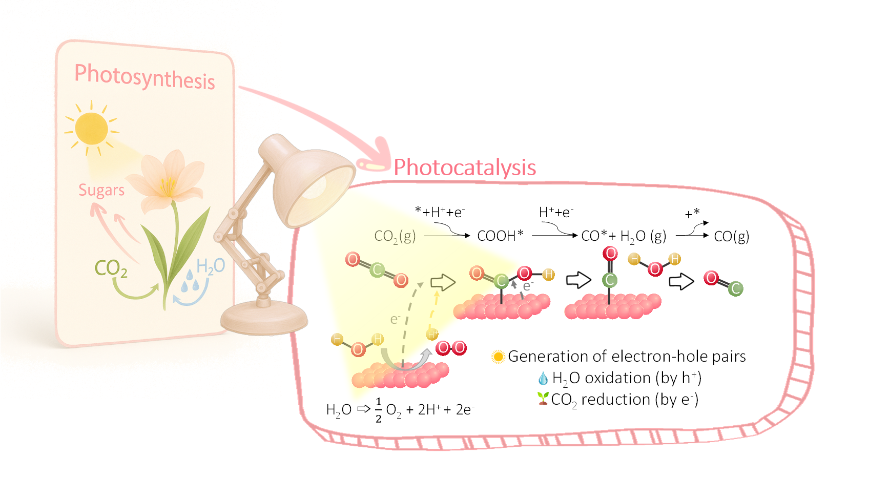 Inspired by Nature: Carbon Nitride Photocatalysts Turning CO2 into Opportunity