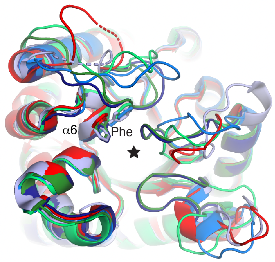 How bacteria resist the oldest class of synthetic antibiotics