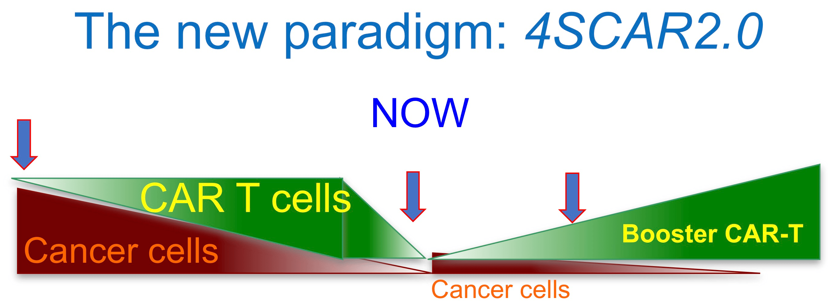 A new CAR-T therapy paradigm for treating B cell lymphomas 