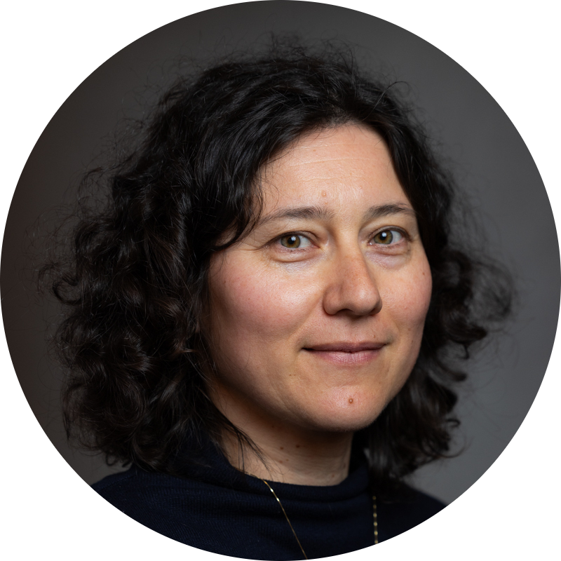 Go to the profile of Anca Pusca