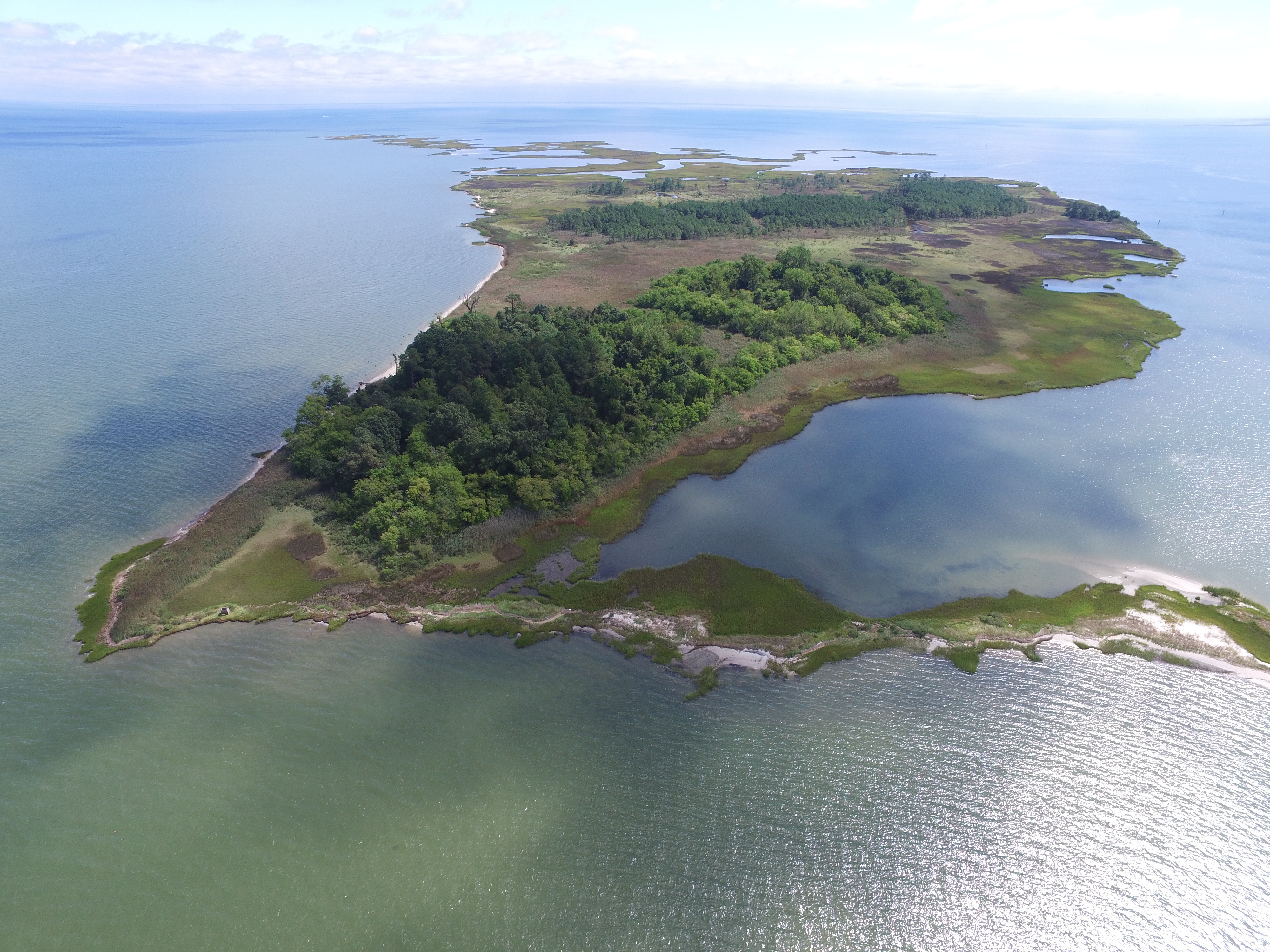 Sea Level Rise is a Double-Edged Sword for Coastal Carbon Sequestration