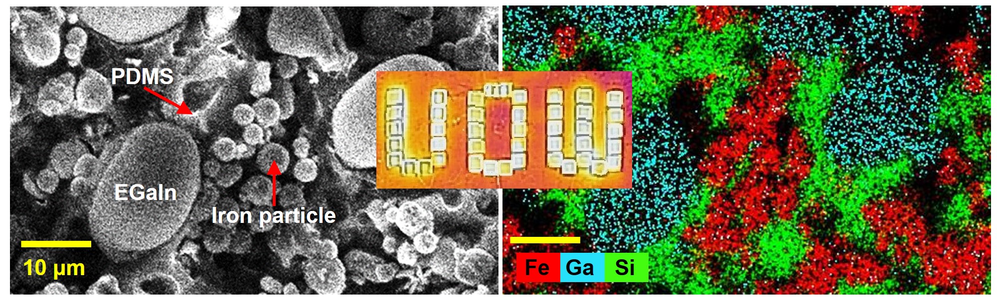 Liquid Metal-filled Magnetorheological Elastomer with Positive Piezoconductivity