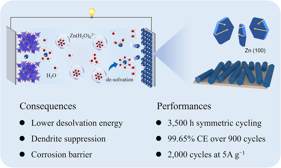 Zincophilic–Hydrophobic Interface Design for Dendrite‑Free Aqueous Zinc‑Ion Batteries