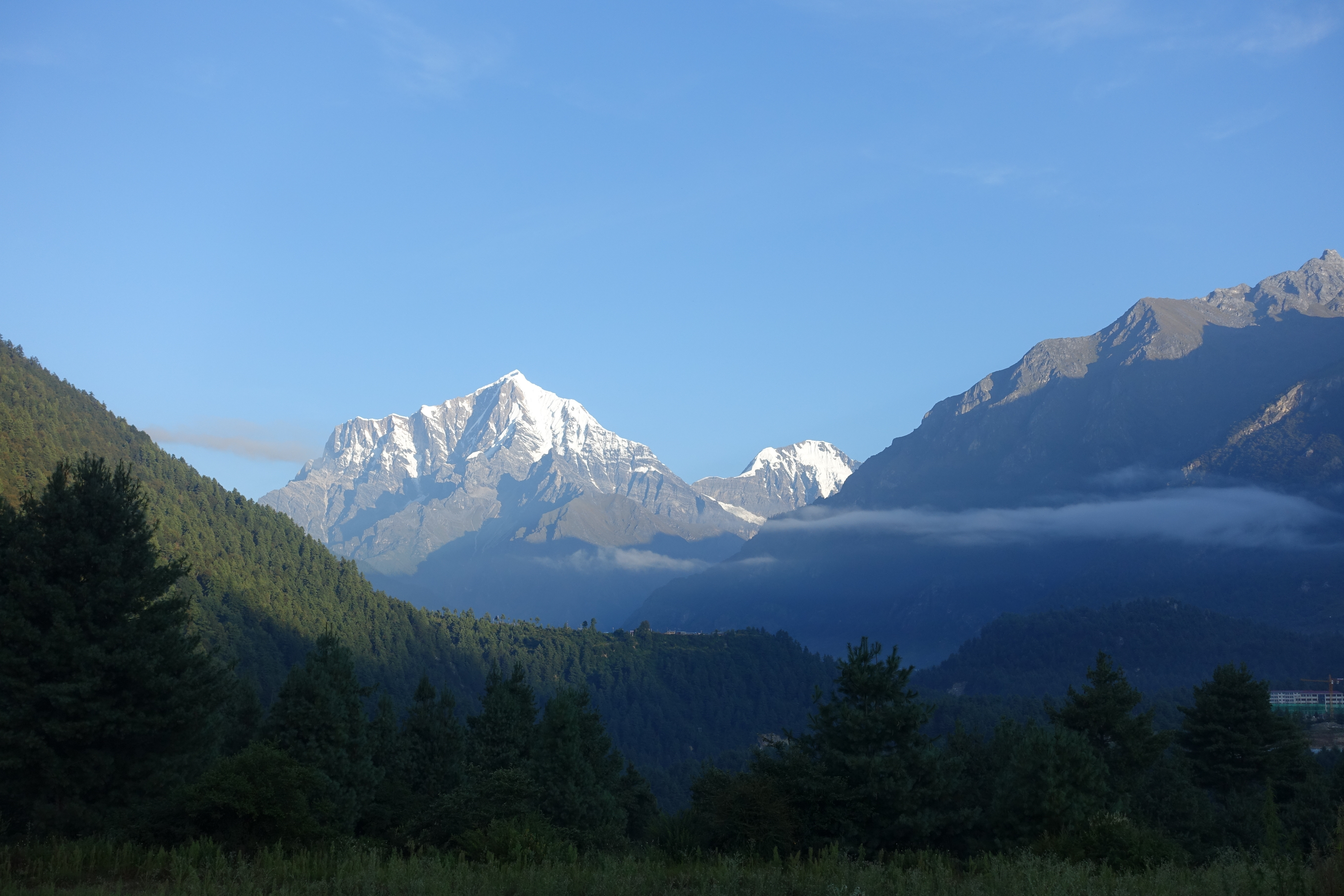 Inverse altitude effect disputes the theoretical foundation of stable isotope paleoaltimetry