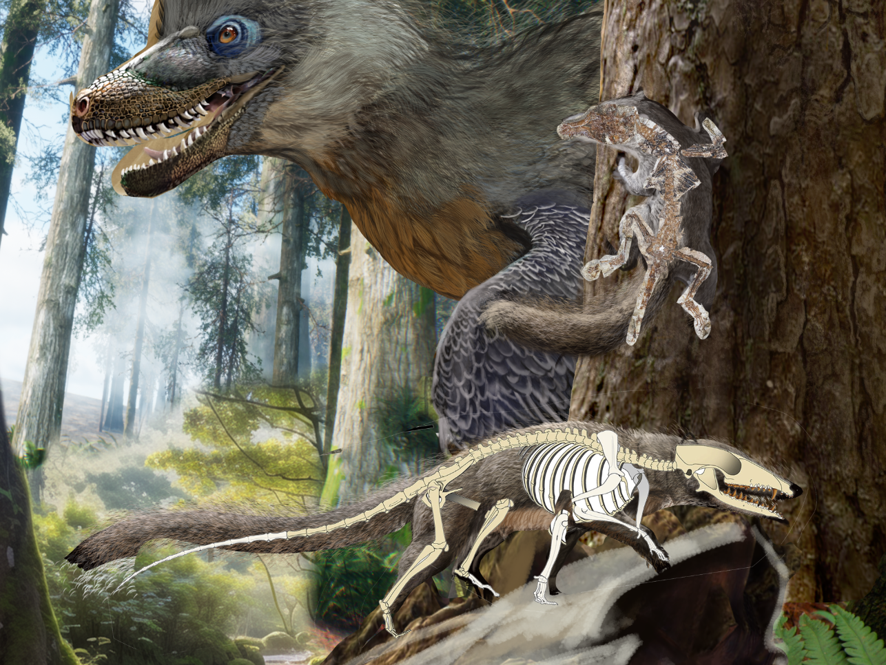Hearing from our Cretaceous ancestors: a remarkable fossil discovery in Jehol Biota