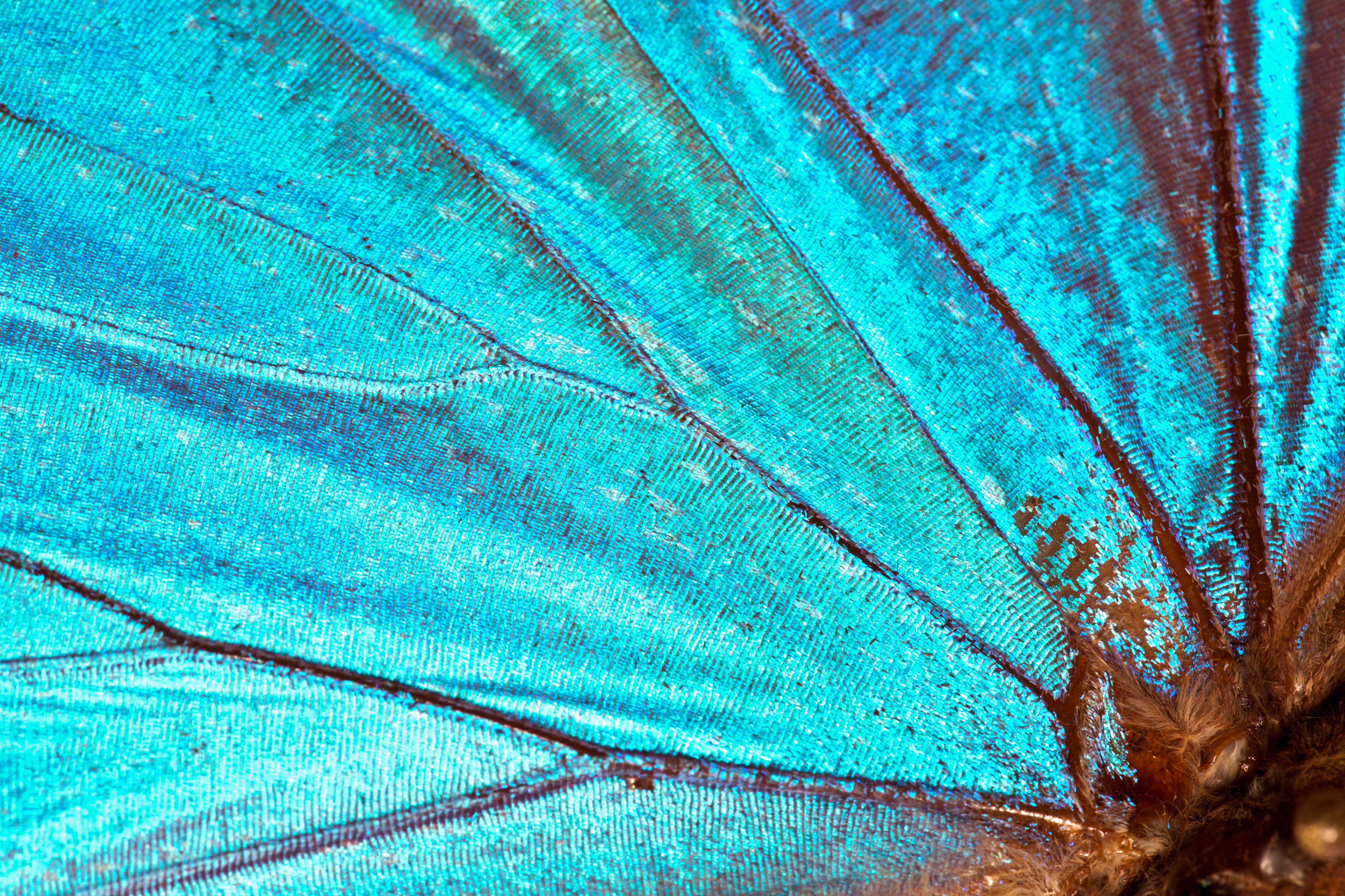 BMC’s “Research in Progress” photo competition now open for submissions