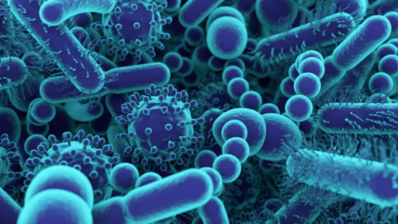 Multi-Omics Integration: The Foundational Architecture of Precision Medicine