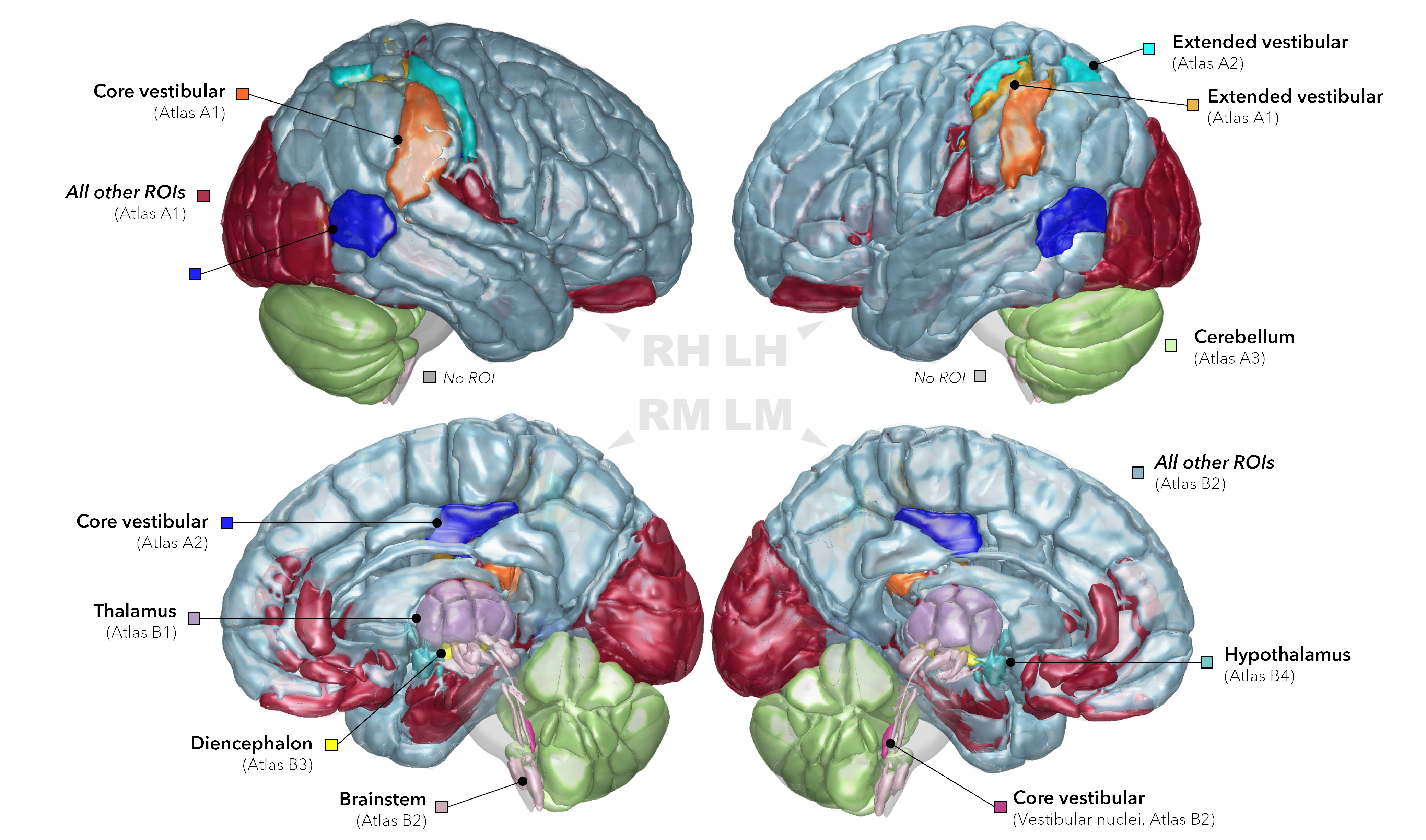 EAGLE449: An atlas compilation for imaging research on central vestibular mechanisms