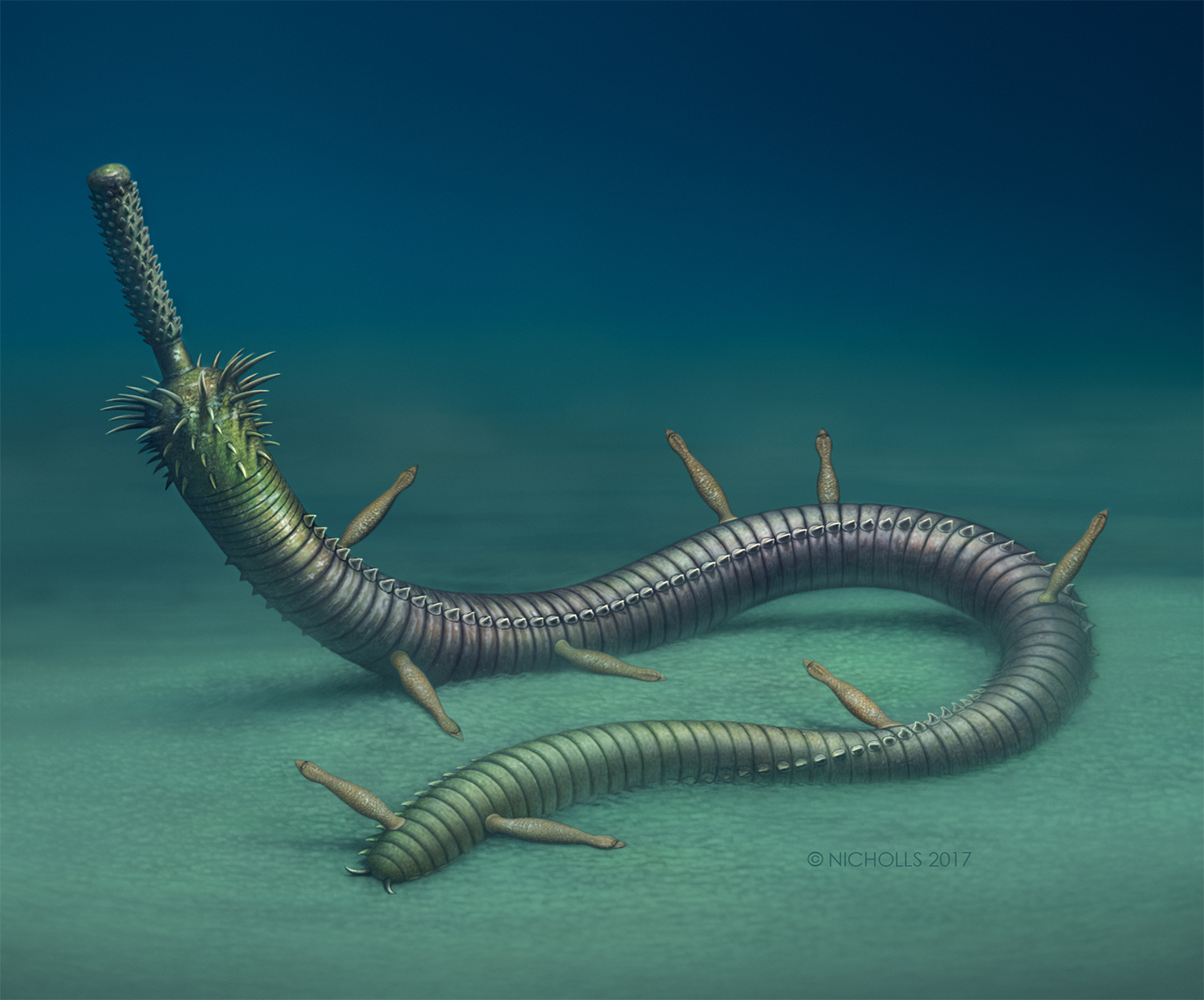 A Cambrian Can of Worms