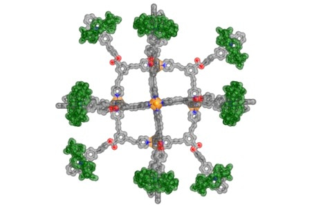 A Molecular Capsule Decorated with Rotaxanes