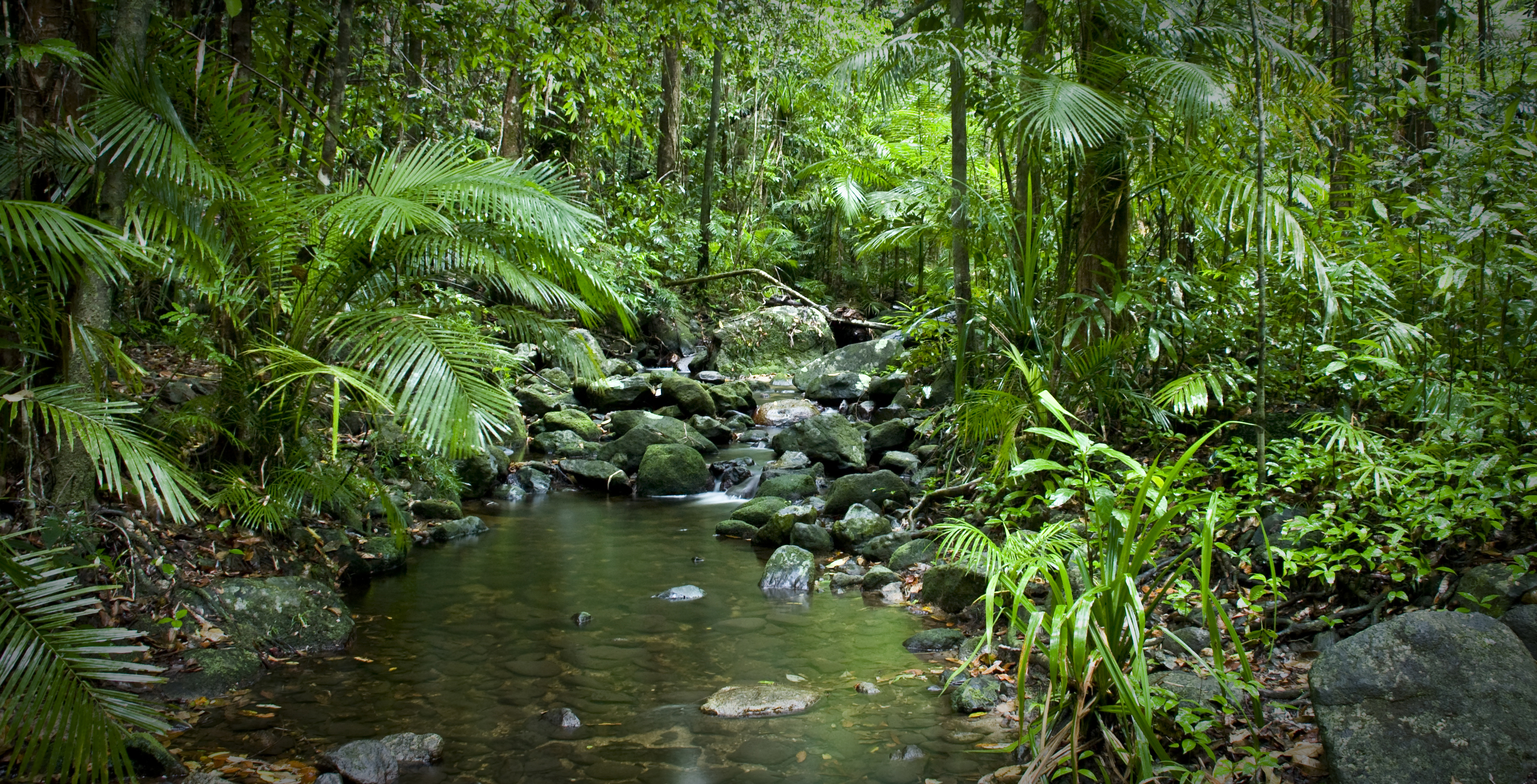 Biodiversity hotspots are most vulnerable to global warming.