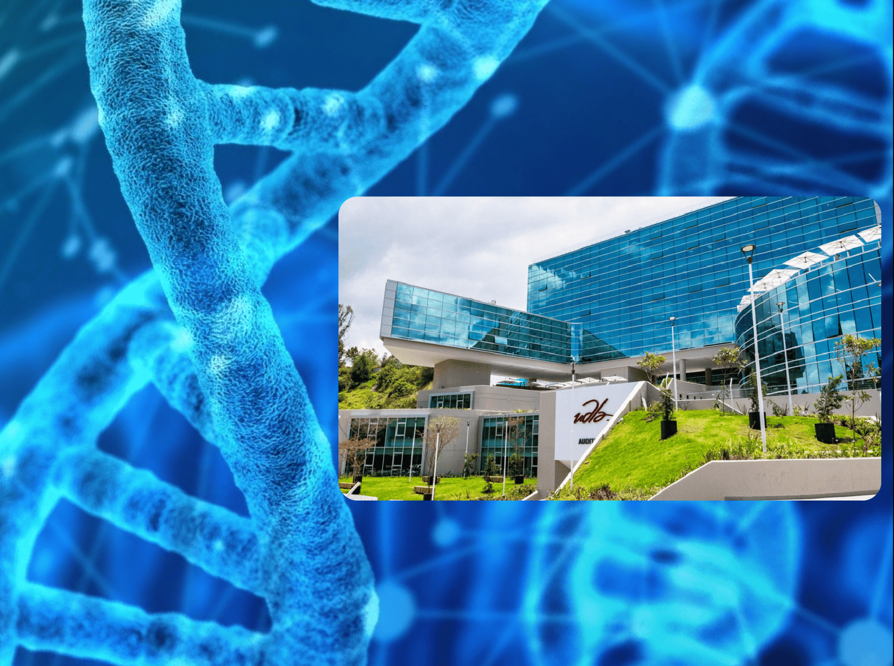 Happy DNA Day!