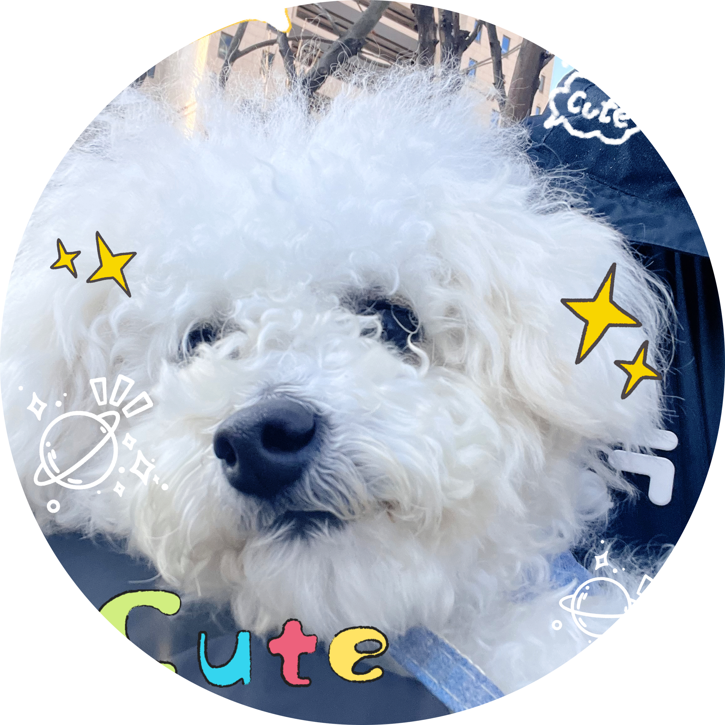 Go to the profile of Yanggang Hong