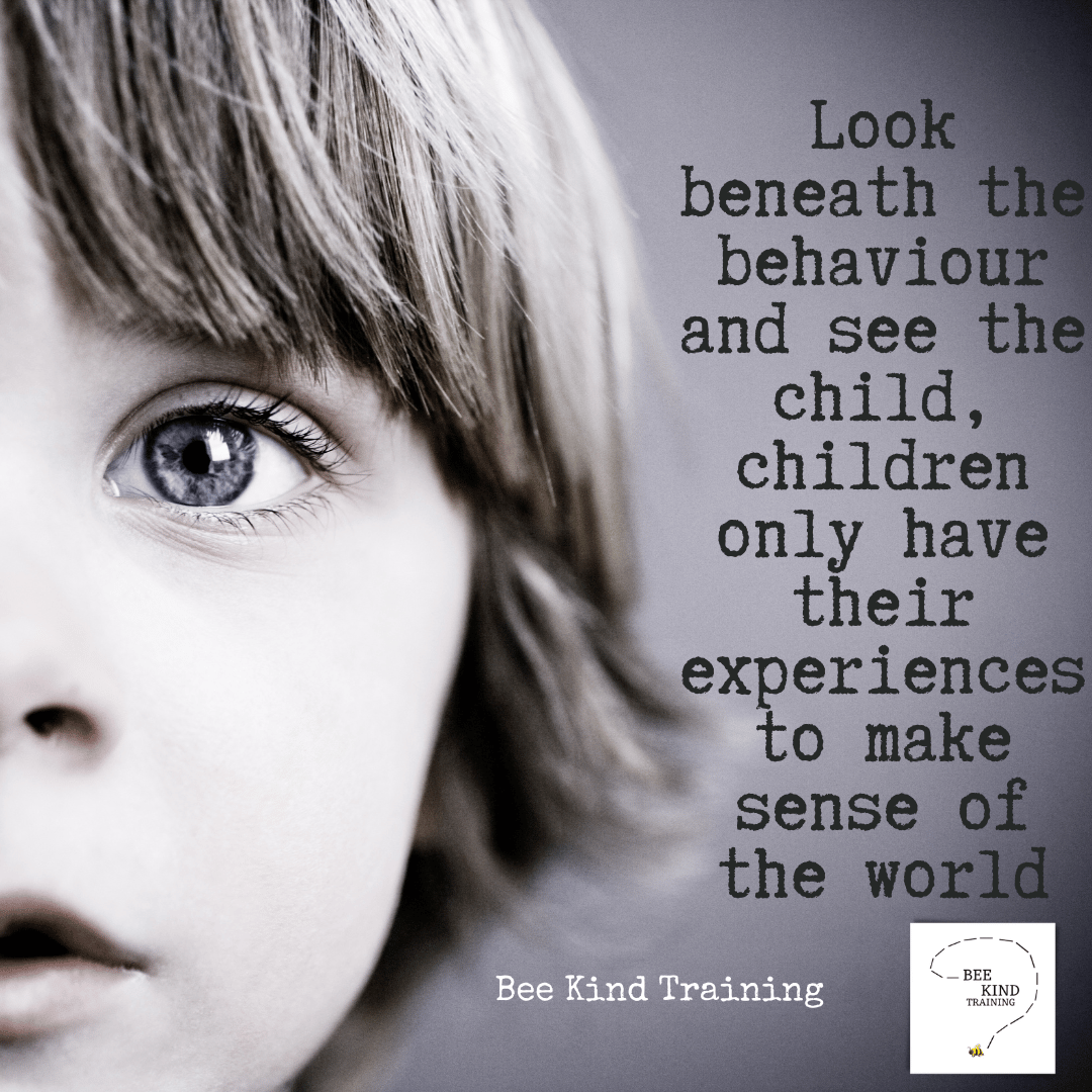 Why does Trauma Informed Practice matter?