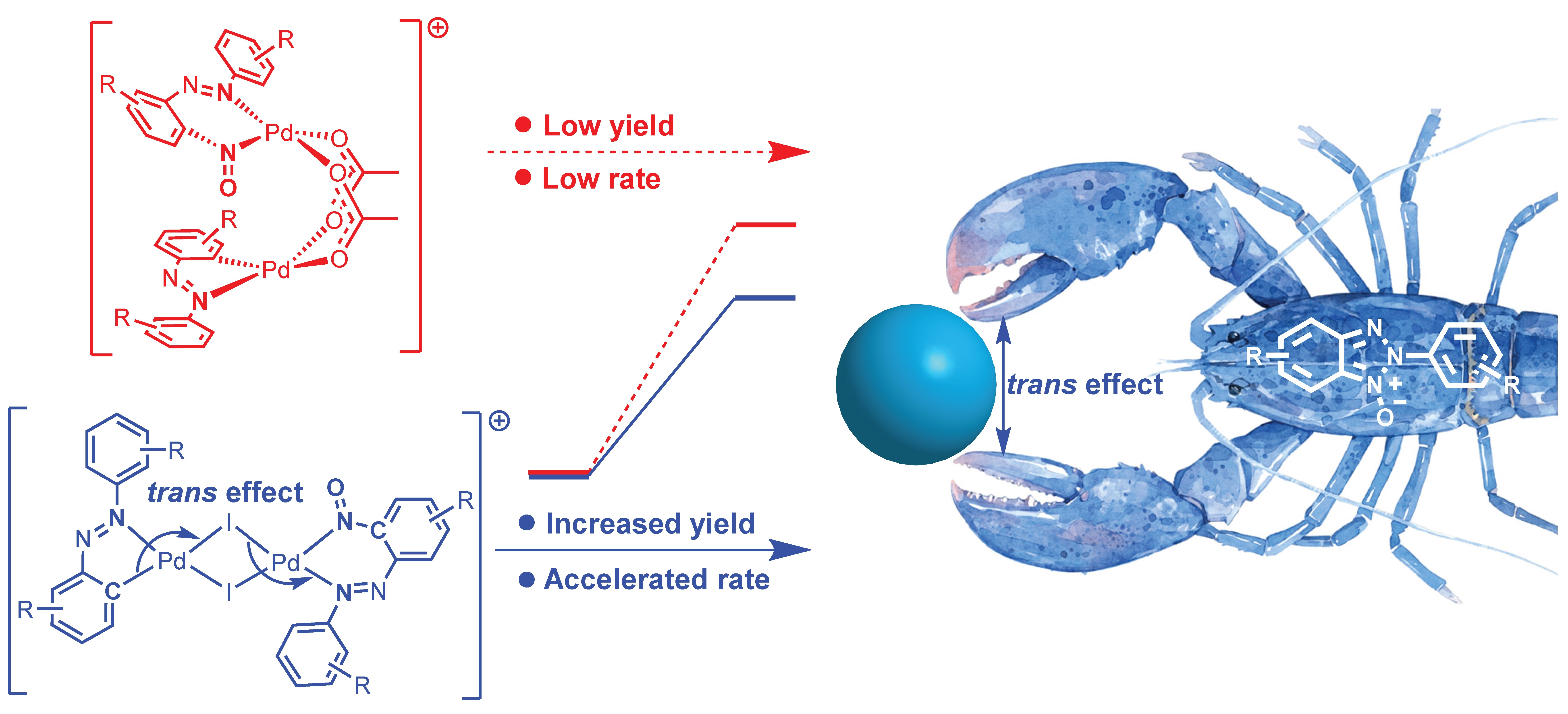 Iodide-enhanced palladium catalysis via formation of iodide-bridged binuclear palladium complex