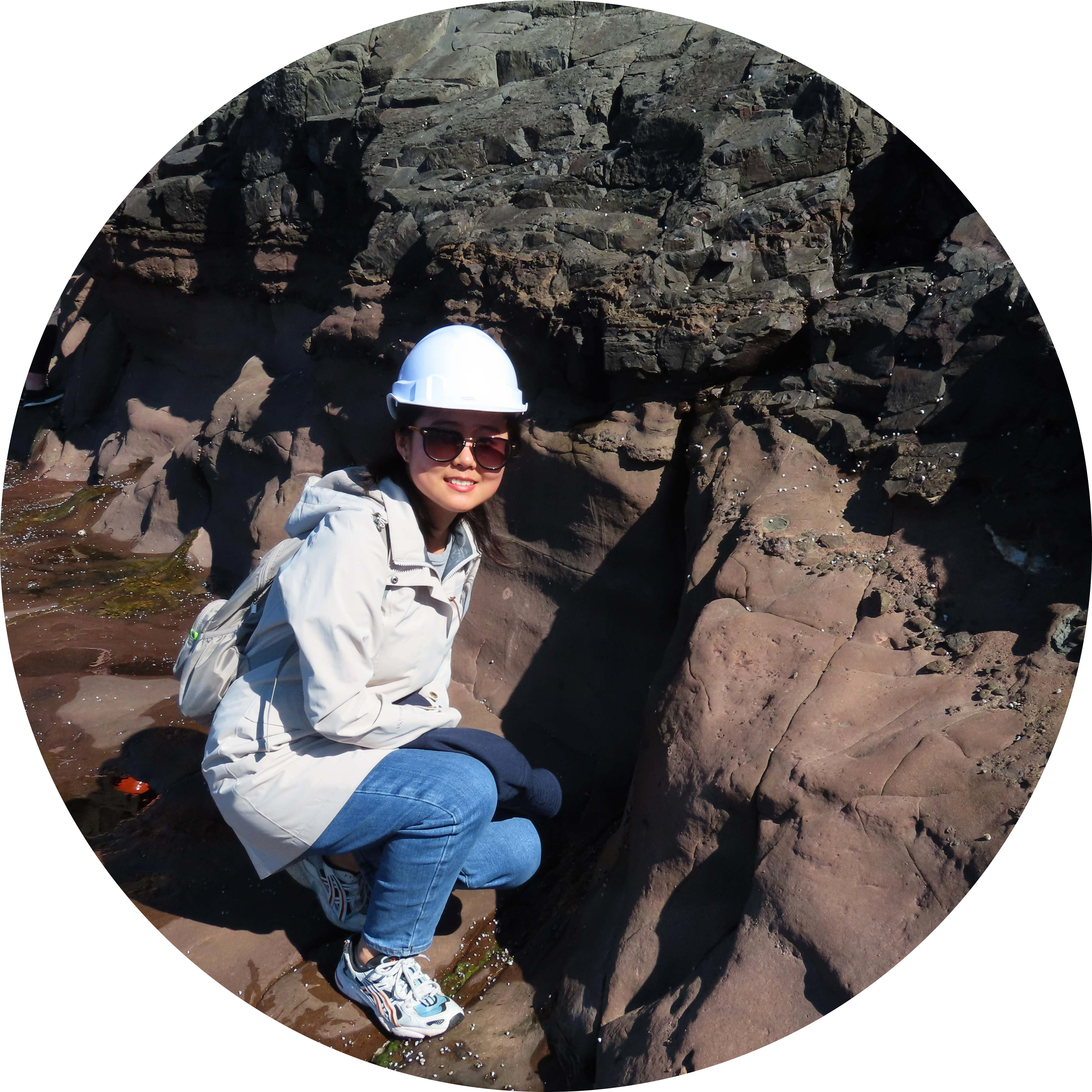 Go to the profile of Shujun Han