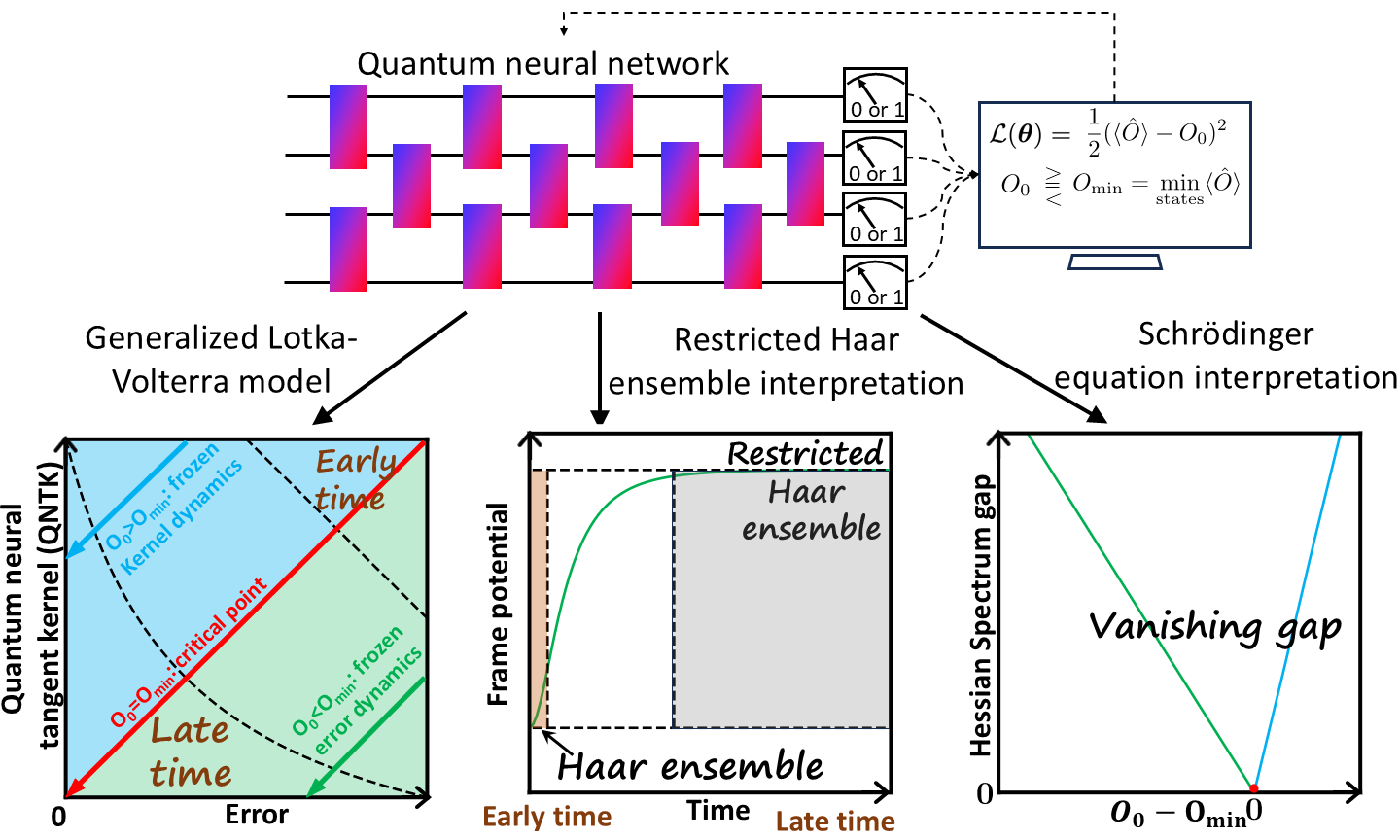 Dynamical transition in controllable quantum neural networks with large depth