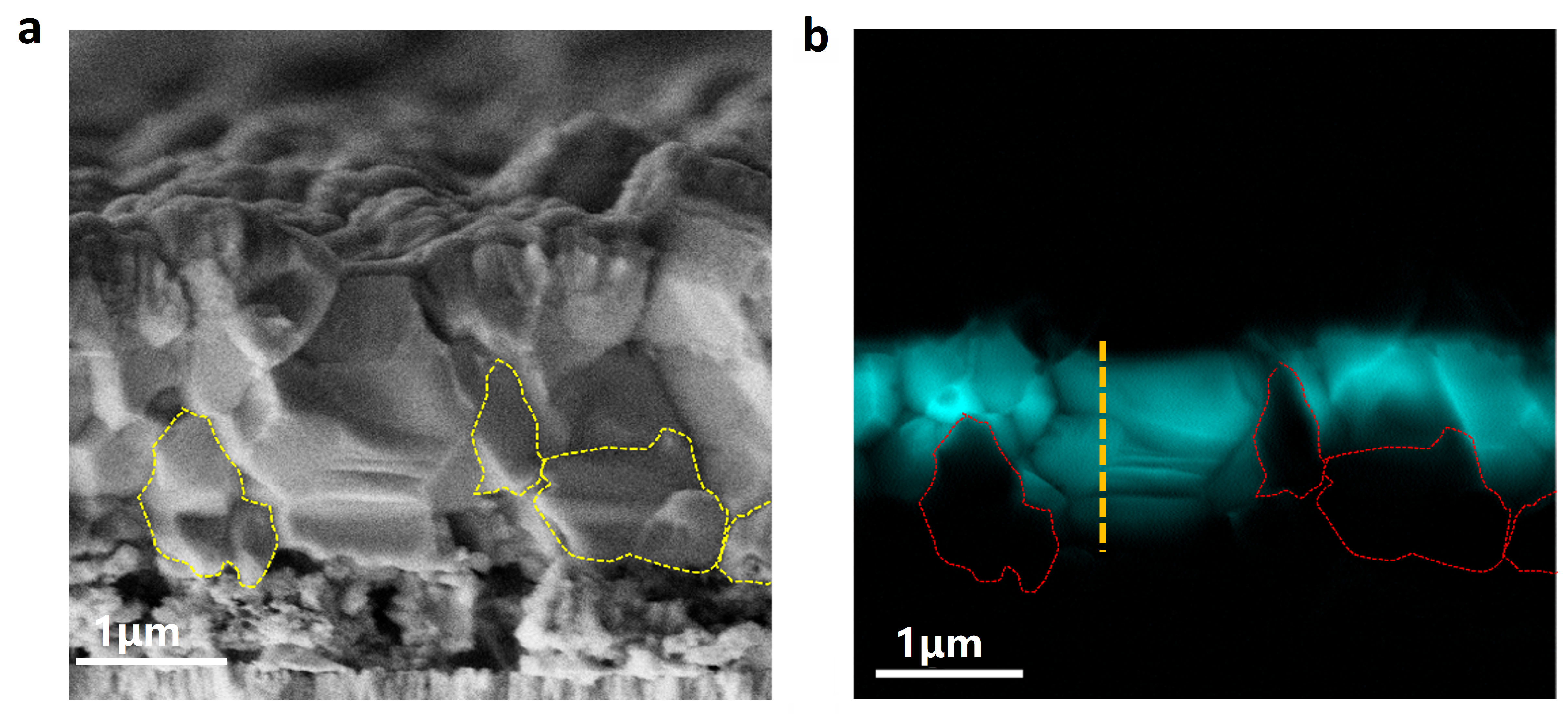 A journey to identify the dominant carrier loss mechanisms in state-of-the-art green kesterite CZTSe solar cells