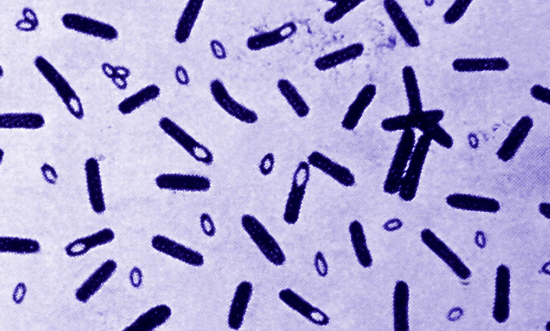 Revisiting the puzzling paradigm of inheritance without DNA: From Griffith to Yuan and Hochschild
