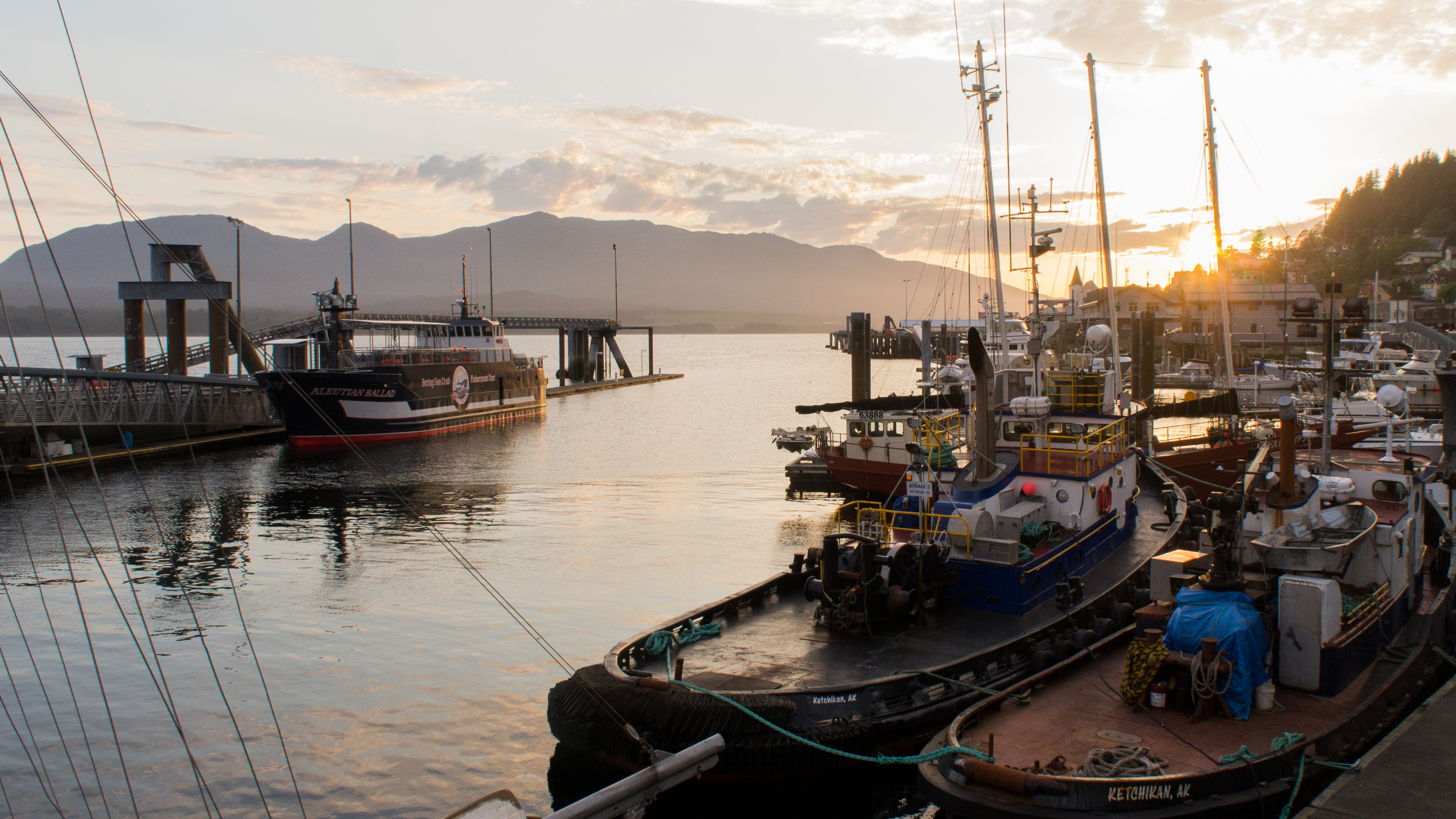 Slowing the race to fish