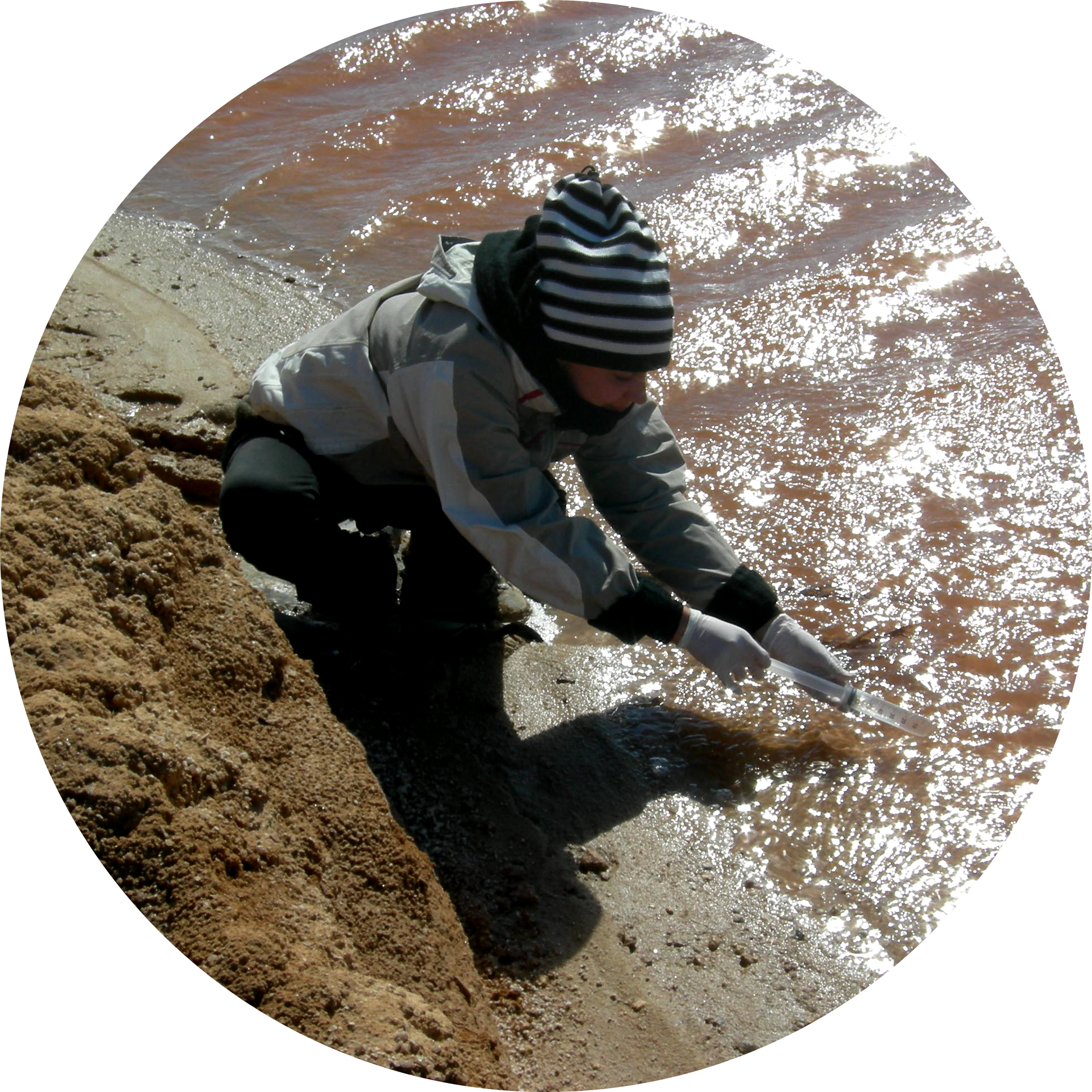 Go to the profile of Ramona Marasco