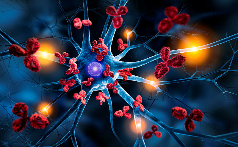 Call for Papers: Autoimmune diseases