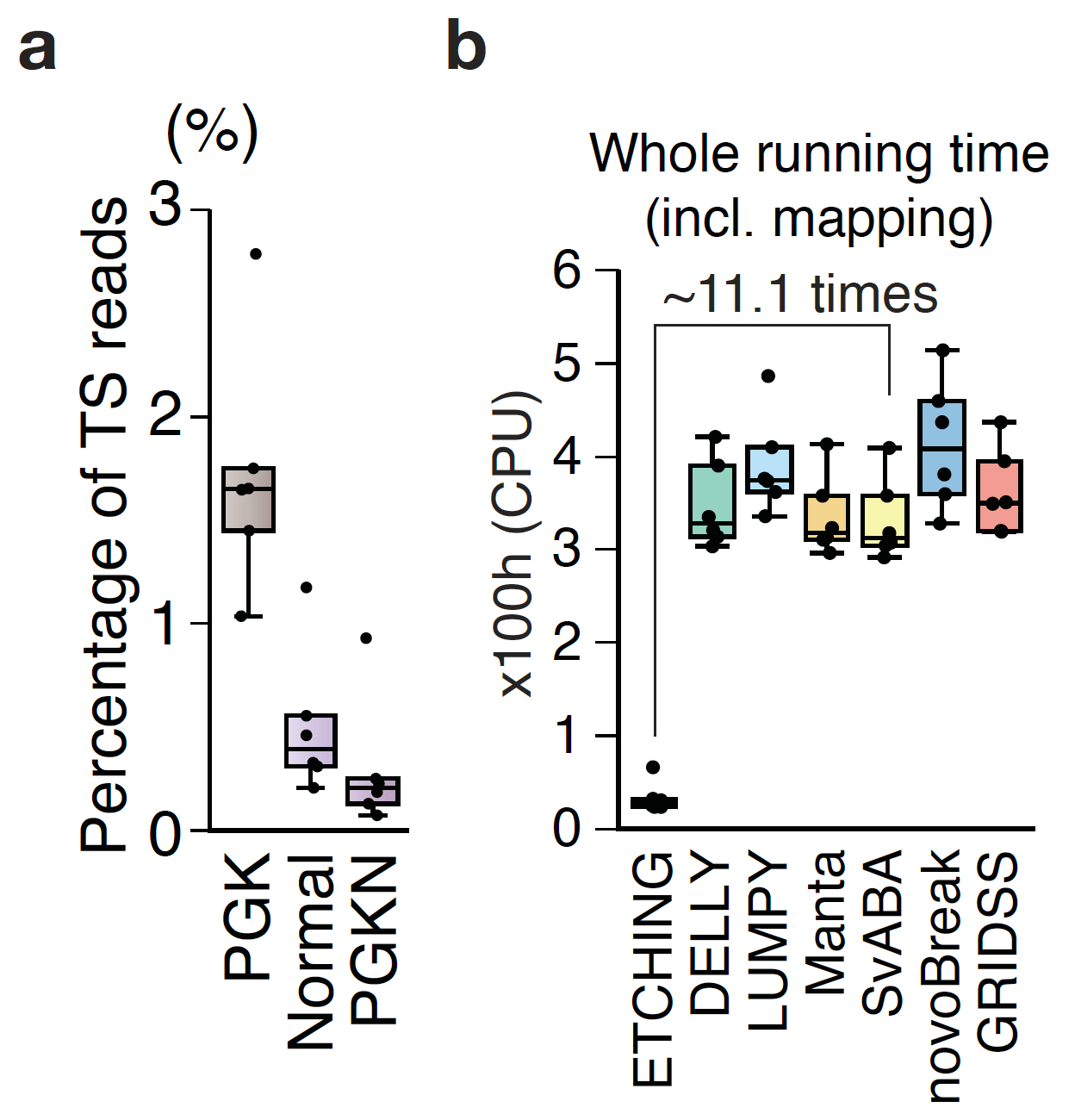 “Etching” Genomic Sequencing Reads to Develop the Fastest Structural Variation Caller