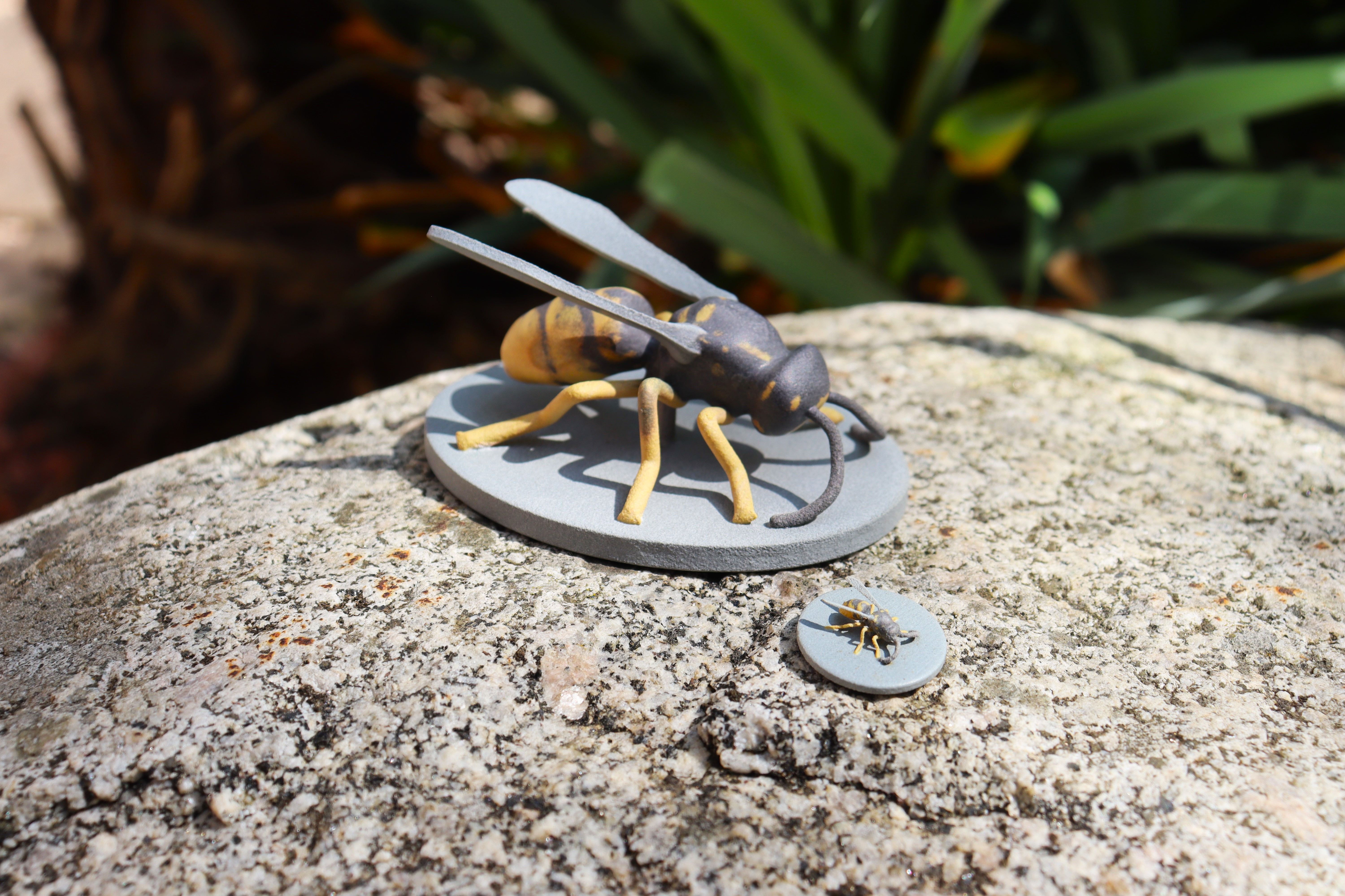 How 3D-Printed Insects, Curious Birds and Clever Spiders Helped Us Map the Limits of Mimicry