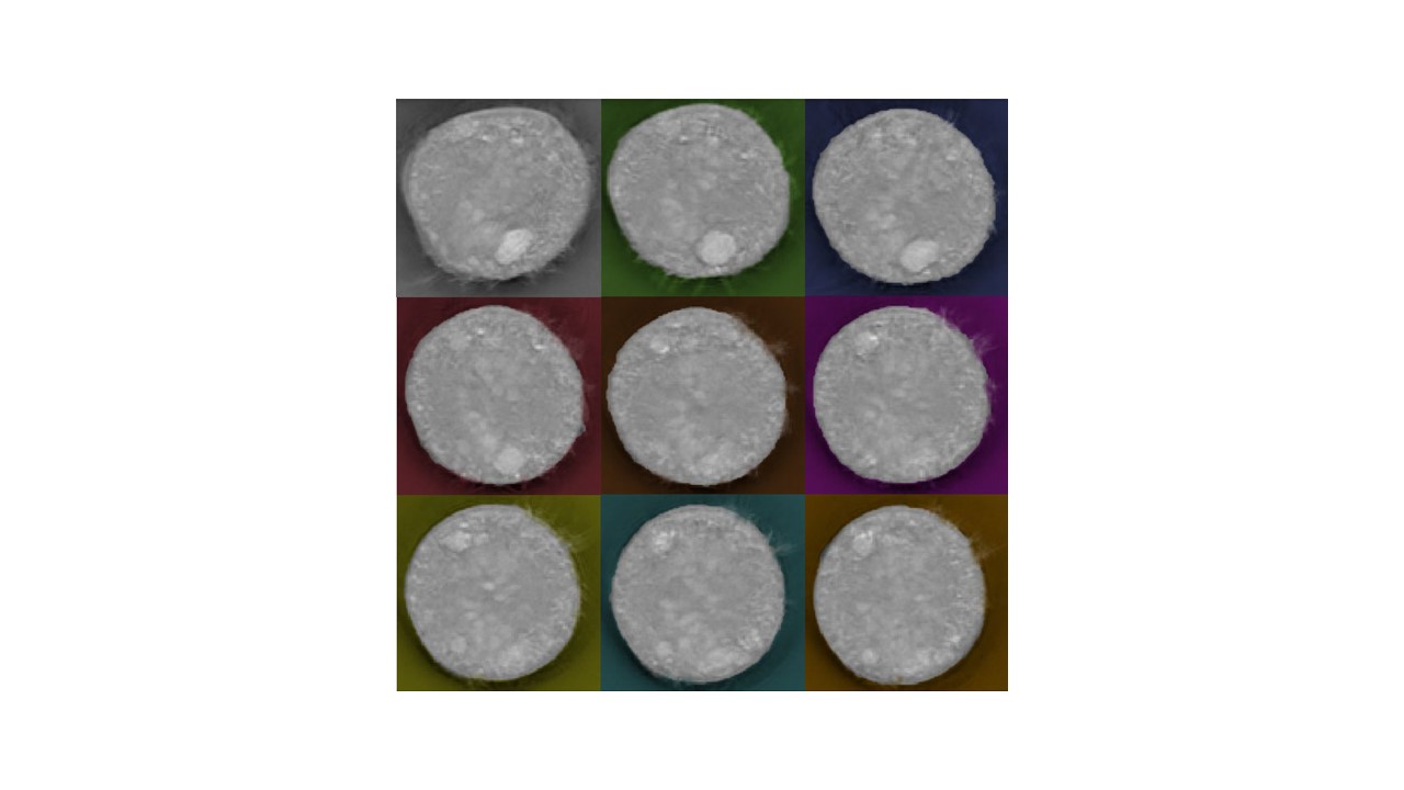 Cytoprotective and stress-free single cell cloning of human iPSCs