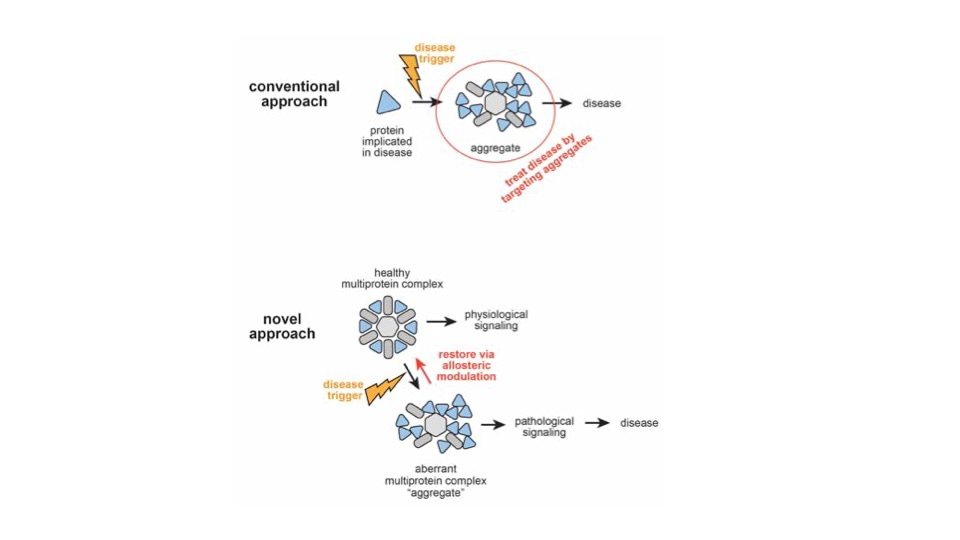 The story behind the paper- An ALS assembly modulator signature in peripheral blood mononuclear cells: implications for ALS pathophysiology, therapeutics, and diagnostics.