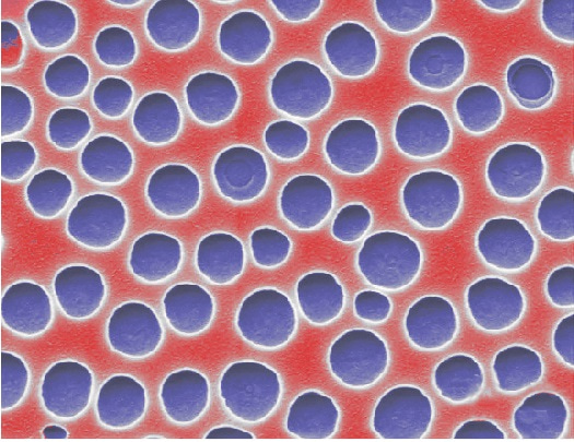 Journal Club | Printing Porous Structures