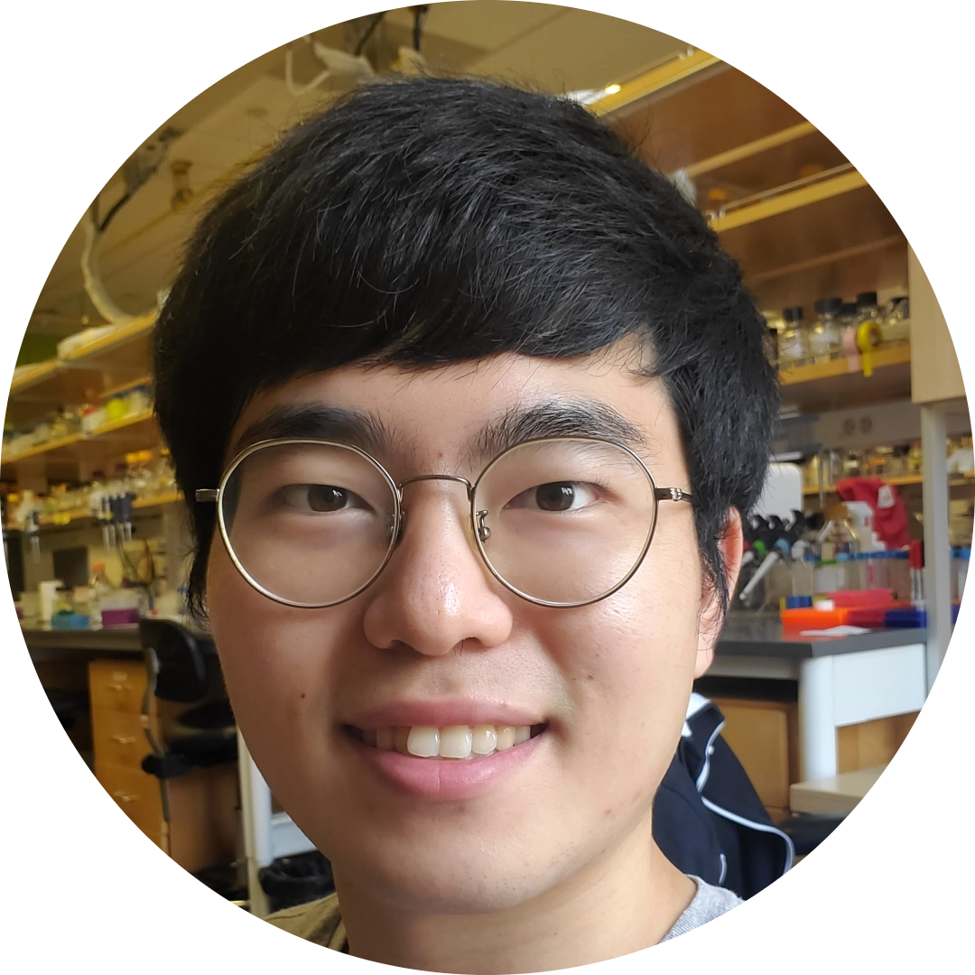 Go to the profile of Wantae Kim