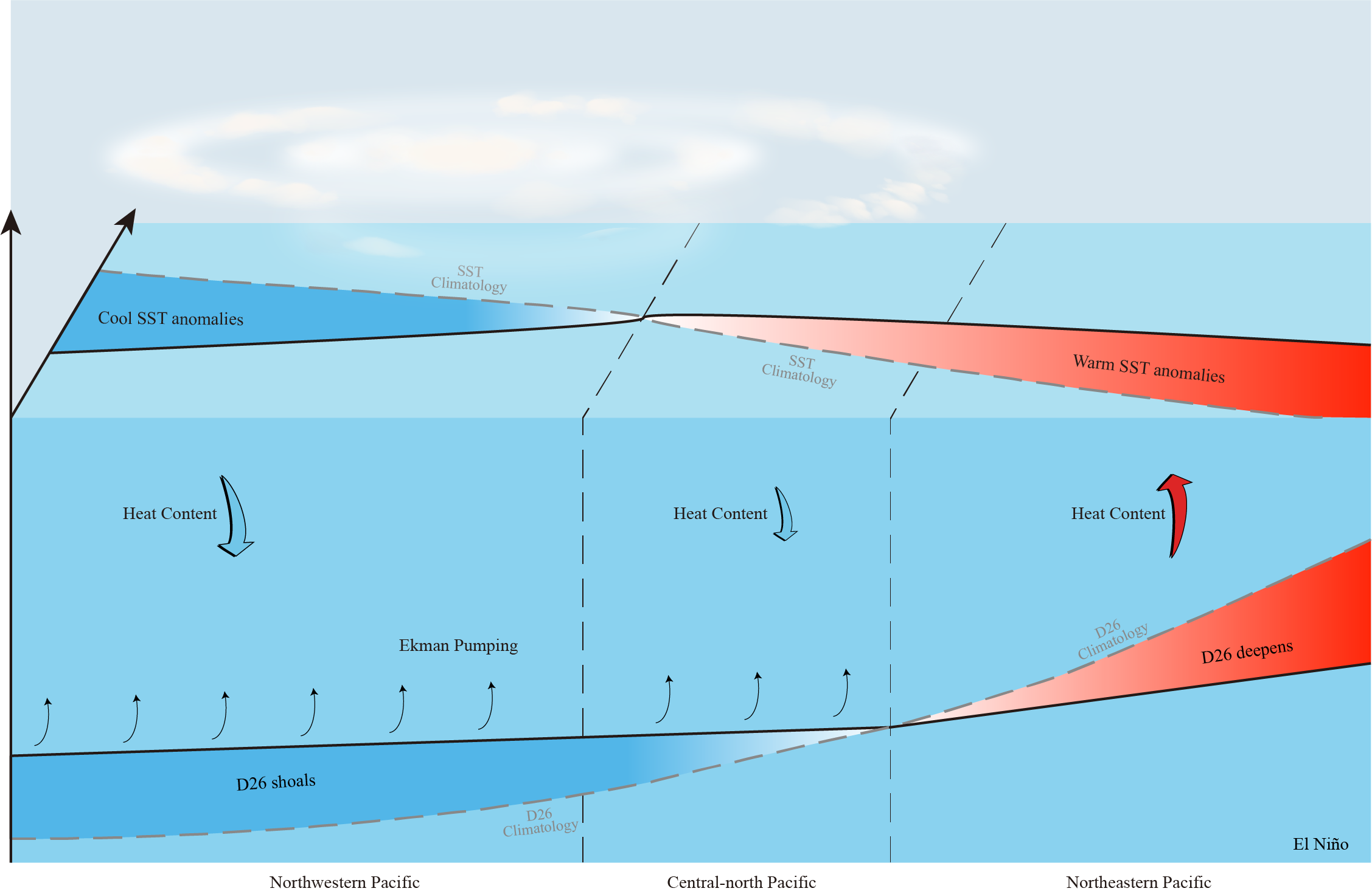 Subsurface Ocean Matters for Cyclogenesis