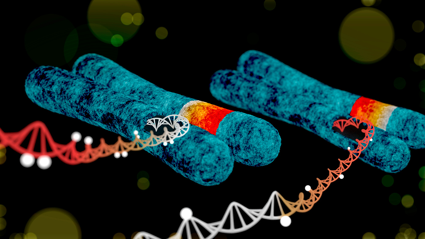 The early-life exposome modulates the effect of polymorphic inversions on DNA methylation