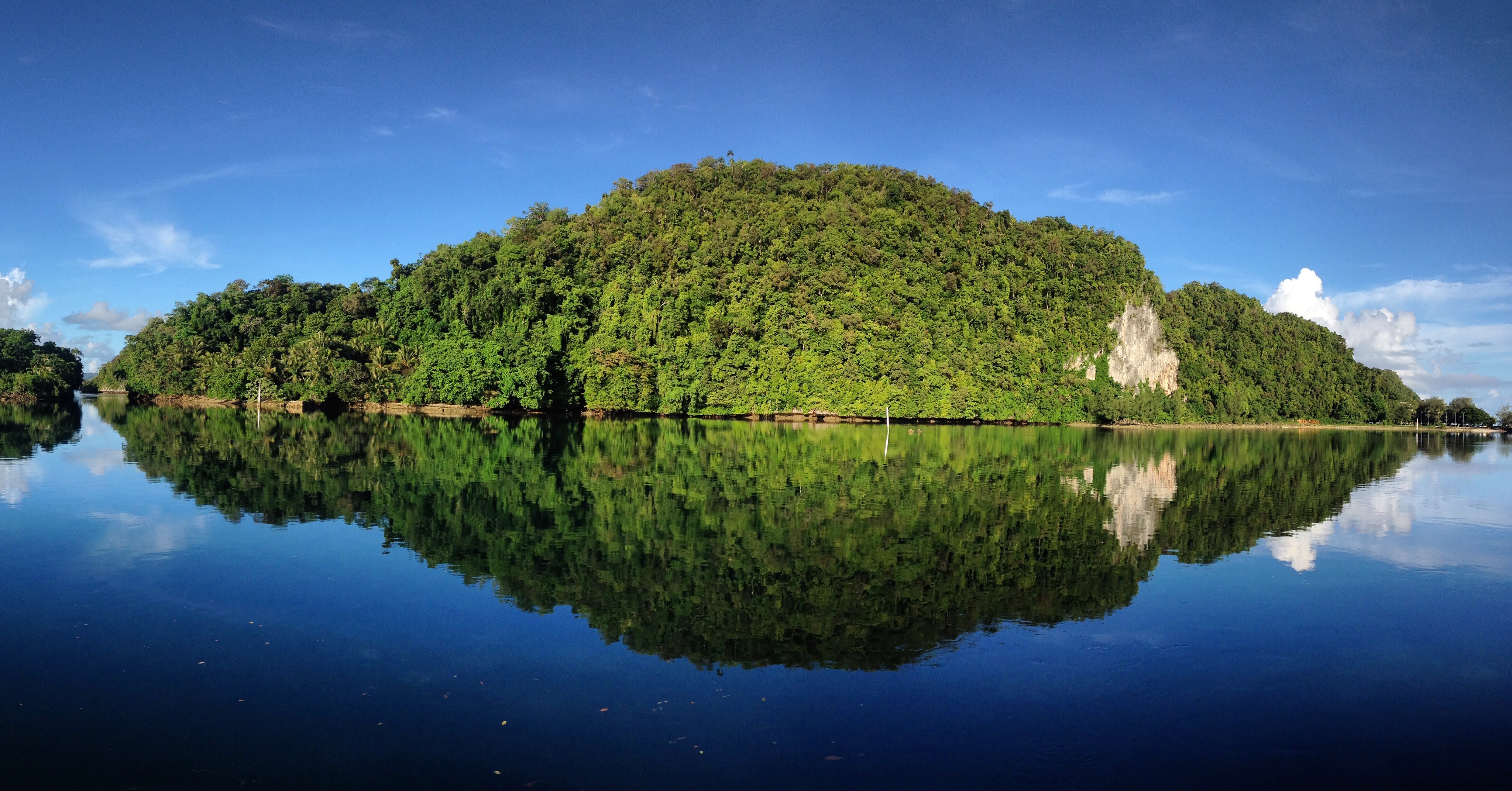 A decade of science on global drivers of biodiversity loss 