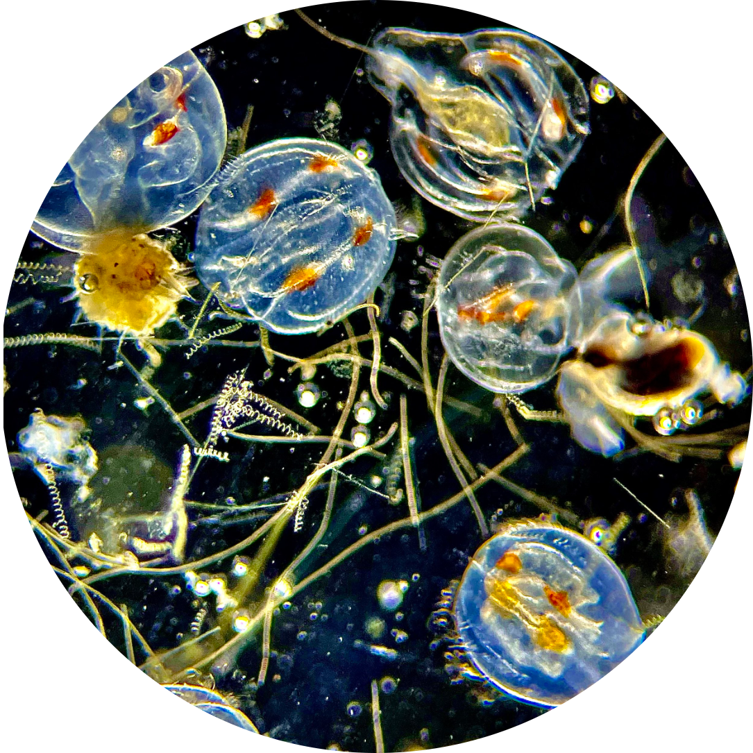 Go to the profile of Sarah Tomlin