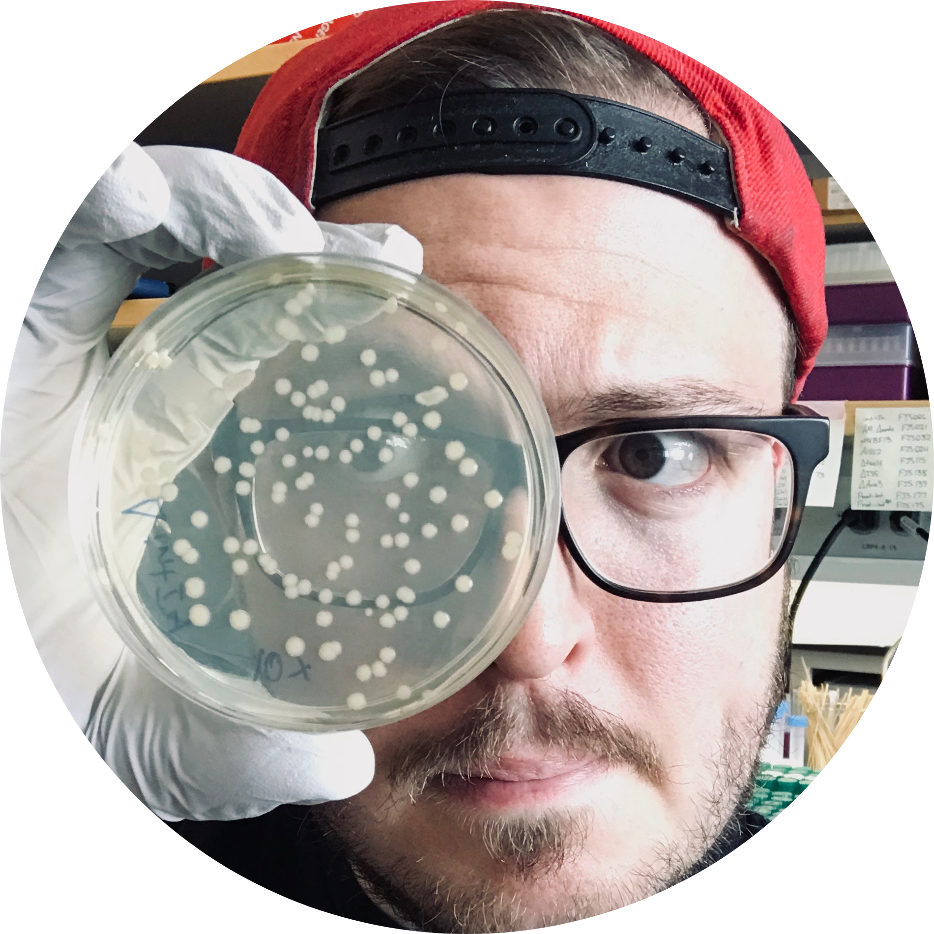 Go to the profile of Frank Santoriello