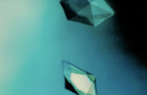 npj Microgravity Review Article: Microgravity protein crystallization