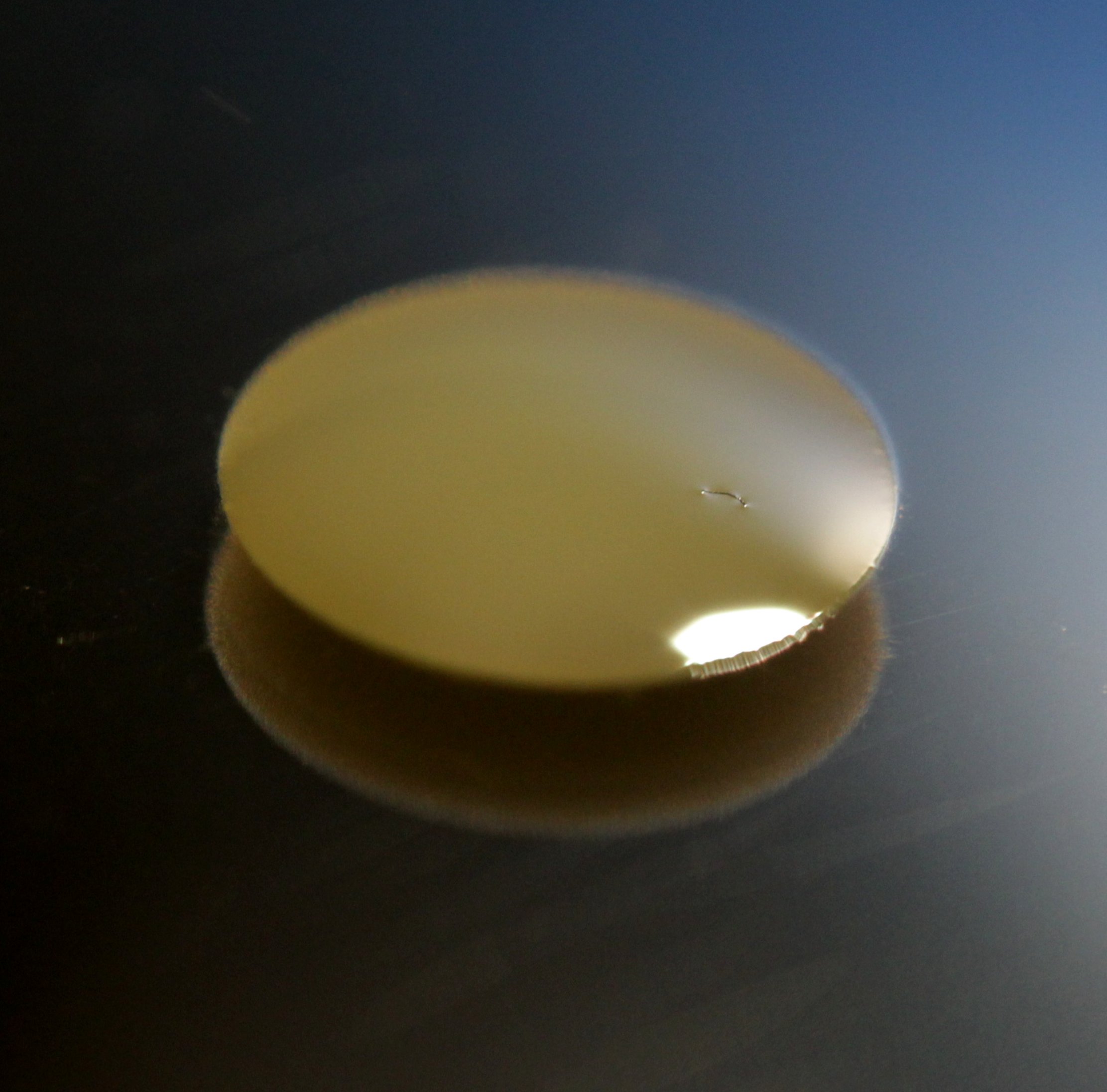 Bacteria self-organize to drive flows