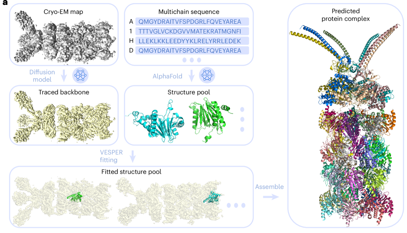 DiffModeler: large macromolecular structure modeling for cryo-EM maps using a diffusion model