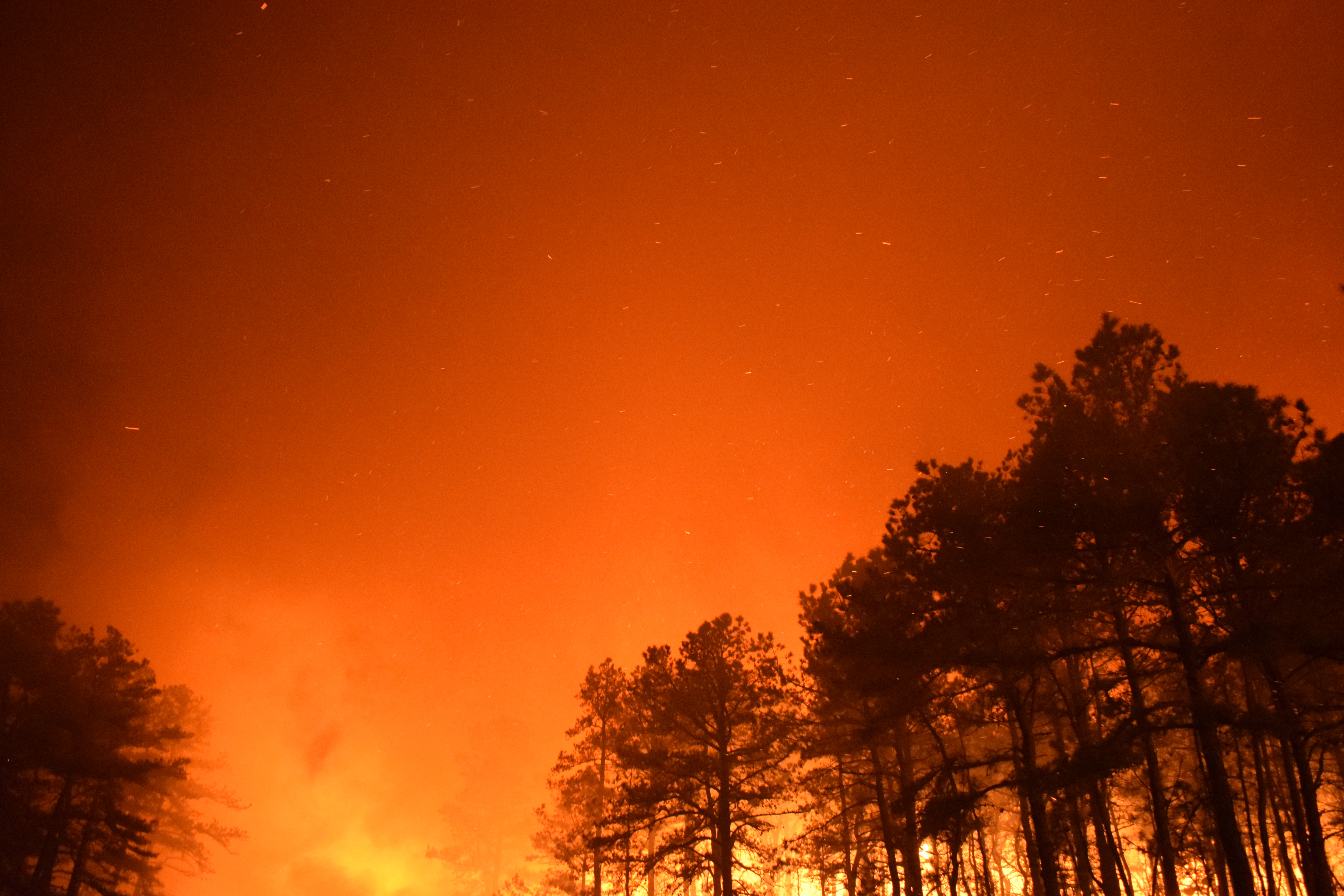 Orbital forcing of Early Jurassic wildfires