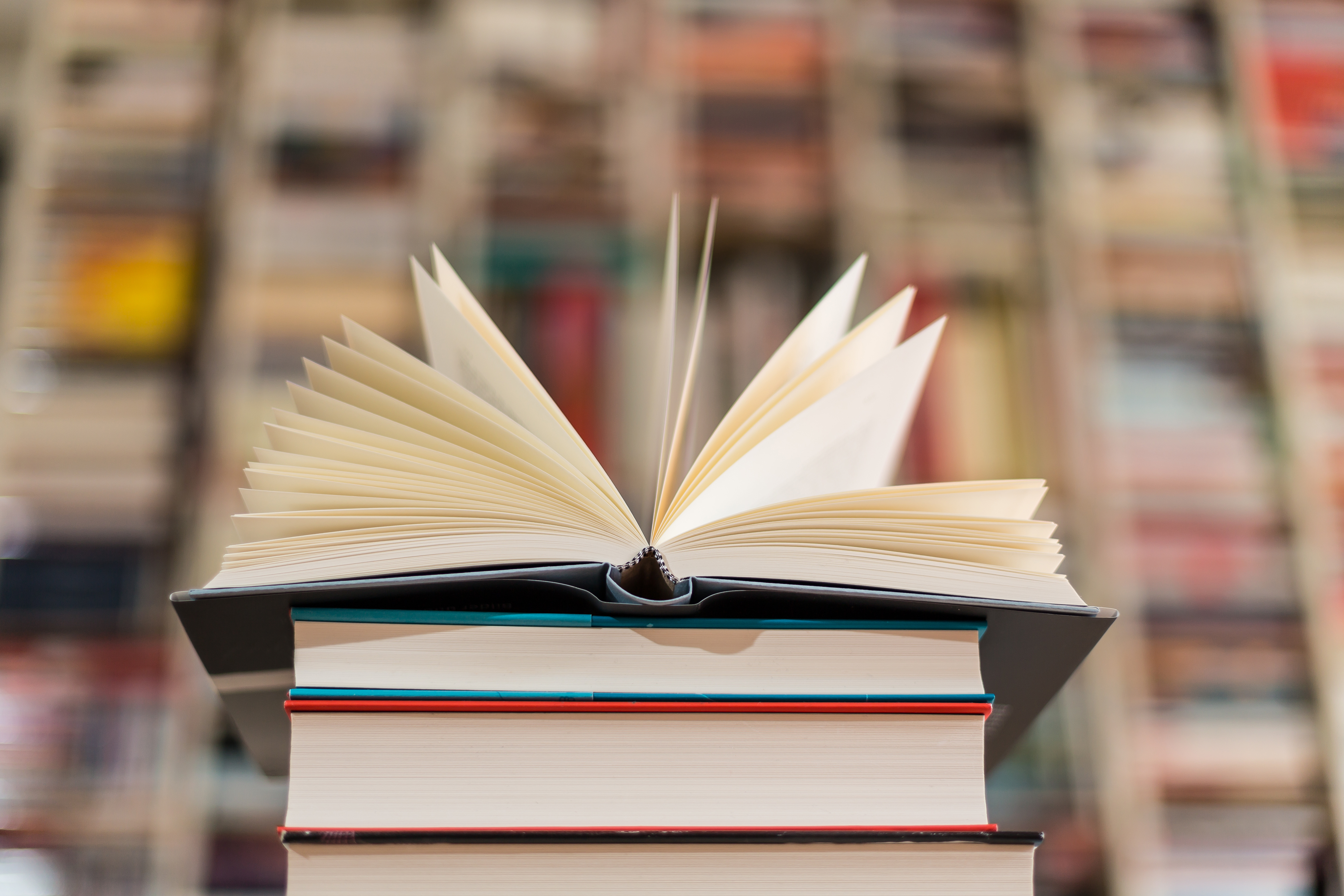 Five Years of Discover Sustainability: Advancing Research for a Sustainable Future