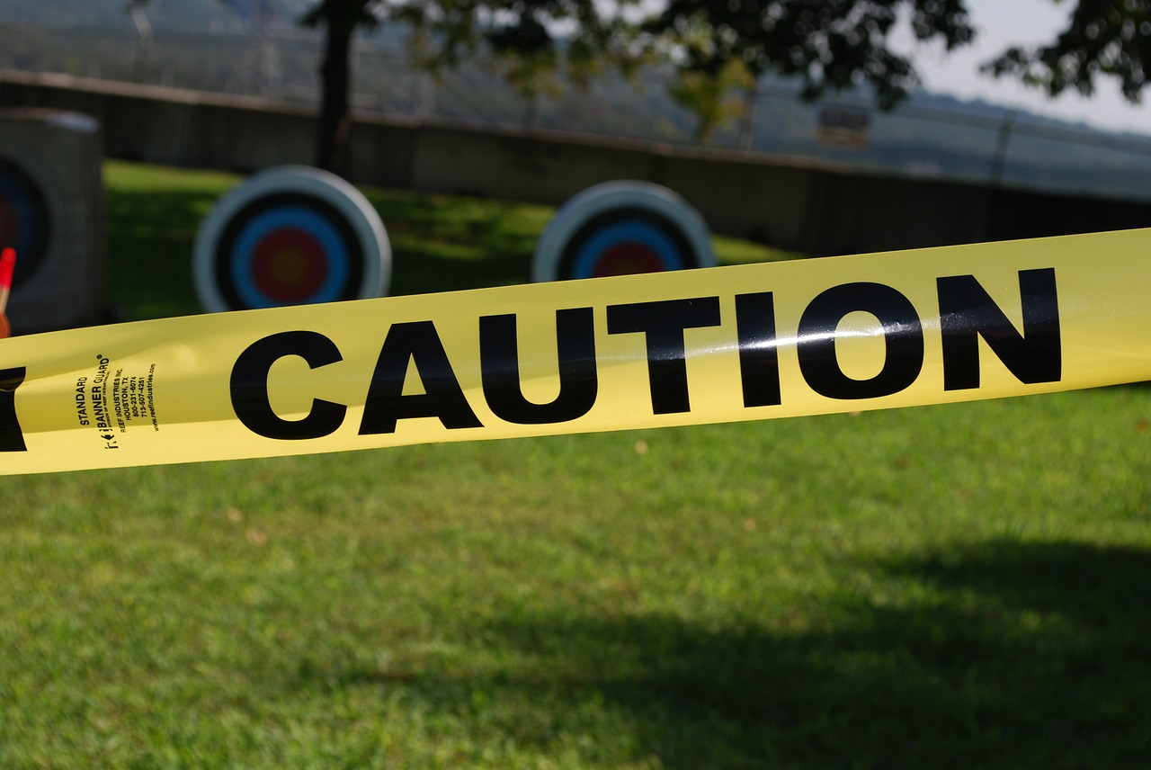 Neuromyths and Edu-Ca$h-In: Vetting the "Expert" Claims