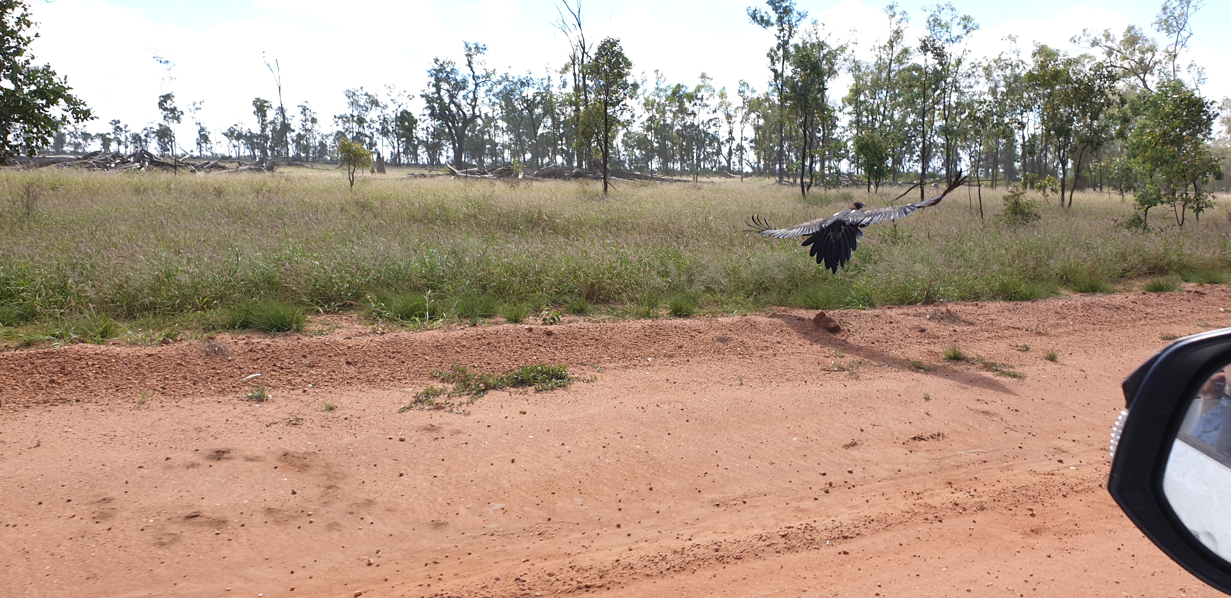 Science sidelined in approval of Australia’s largest coal mine