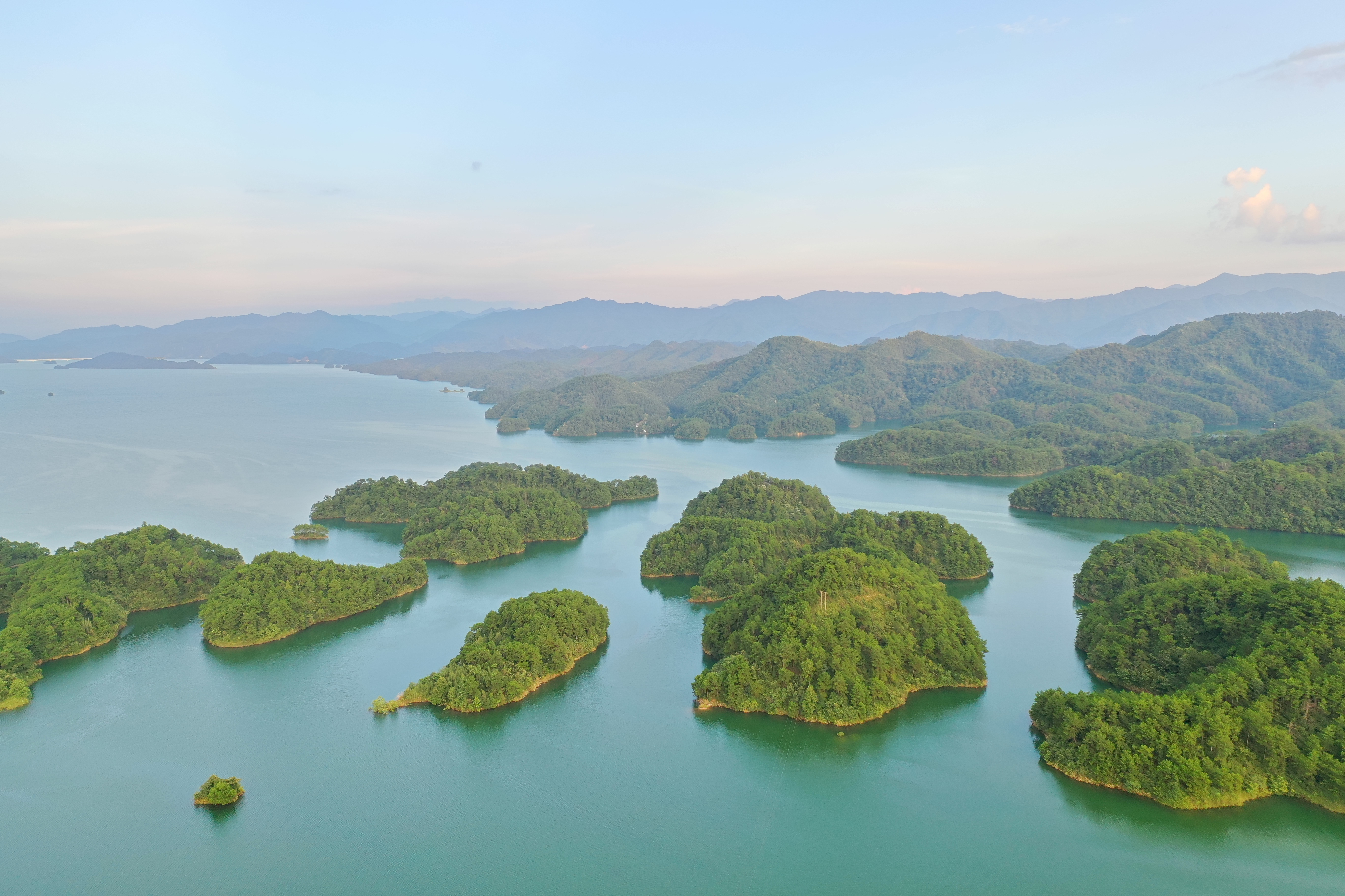 Simplified ecological networks on small patches after 60 years of insular habitat fragmentation