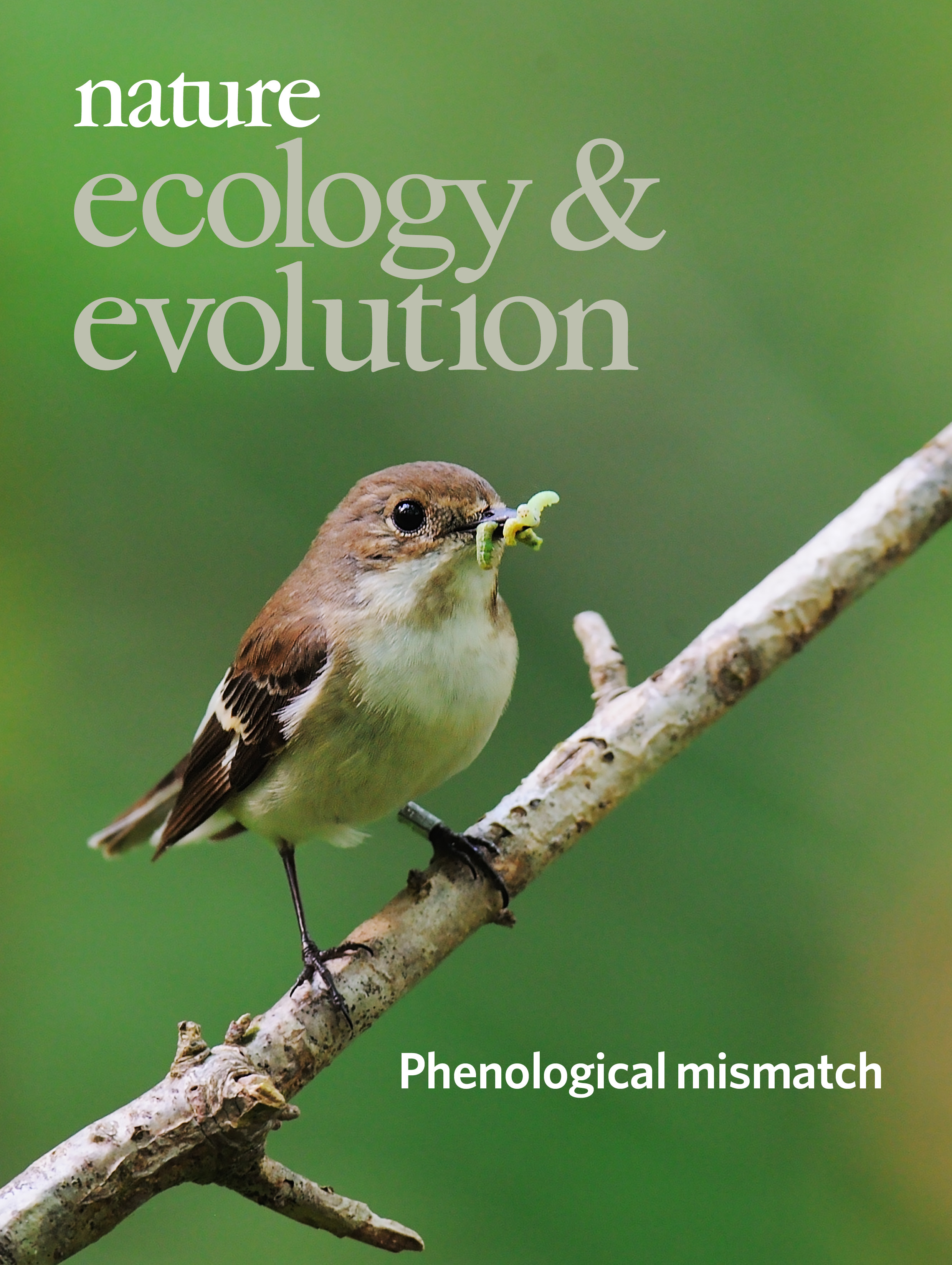 Gallery | June 2018 cover
