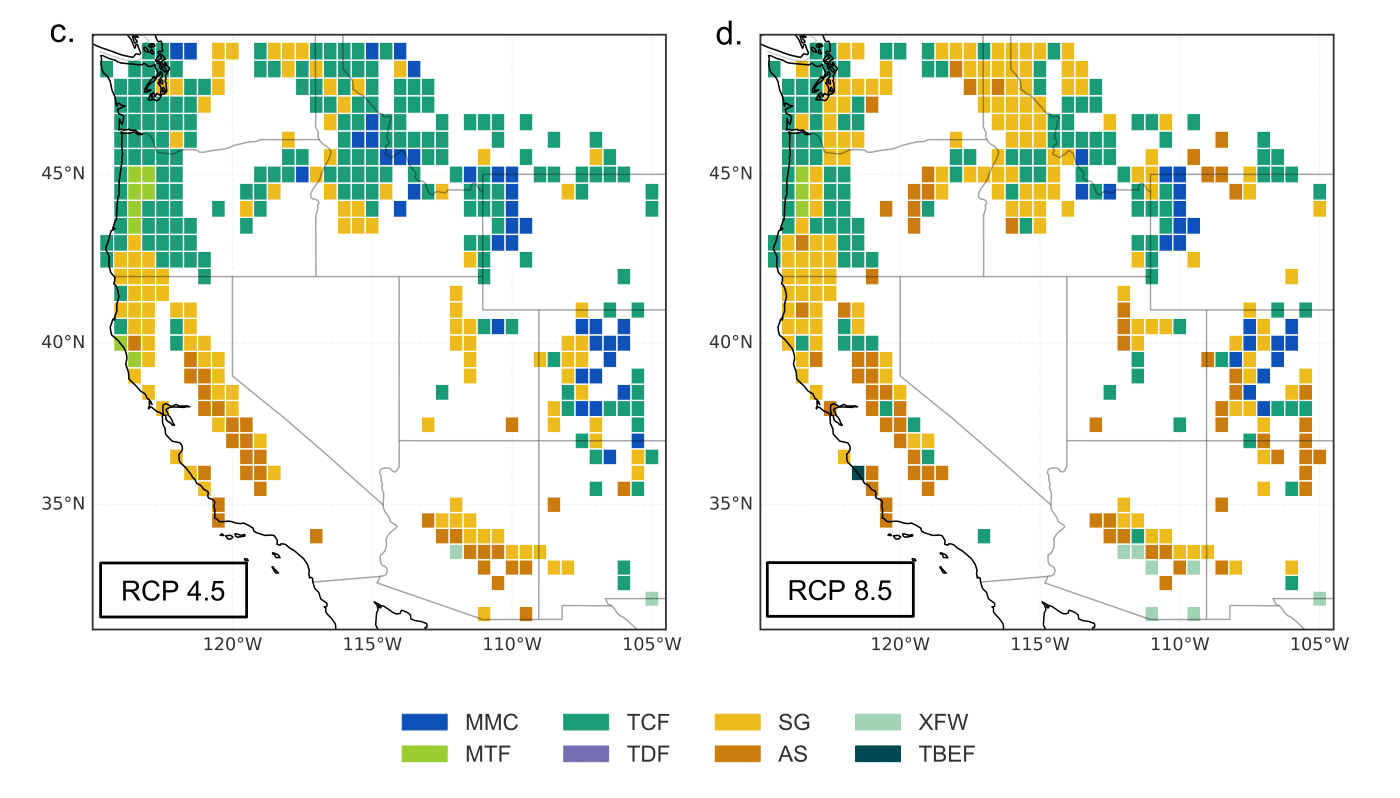 Future transition from forests to shrublands and grasslands in the western United States is expected to reduce carbon storage