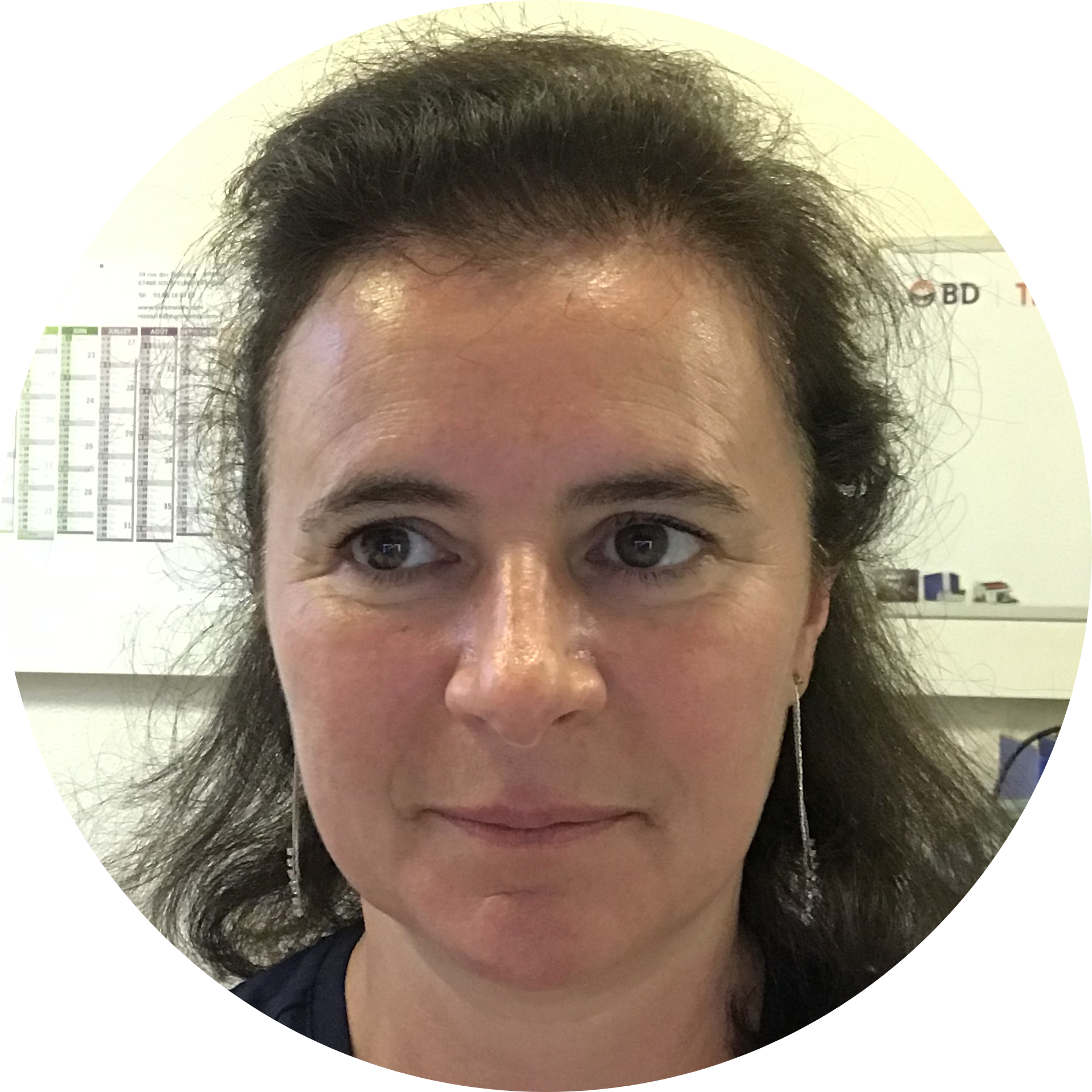 Go to the profile of Isabelle Plo