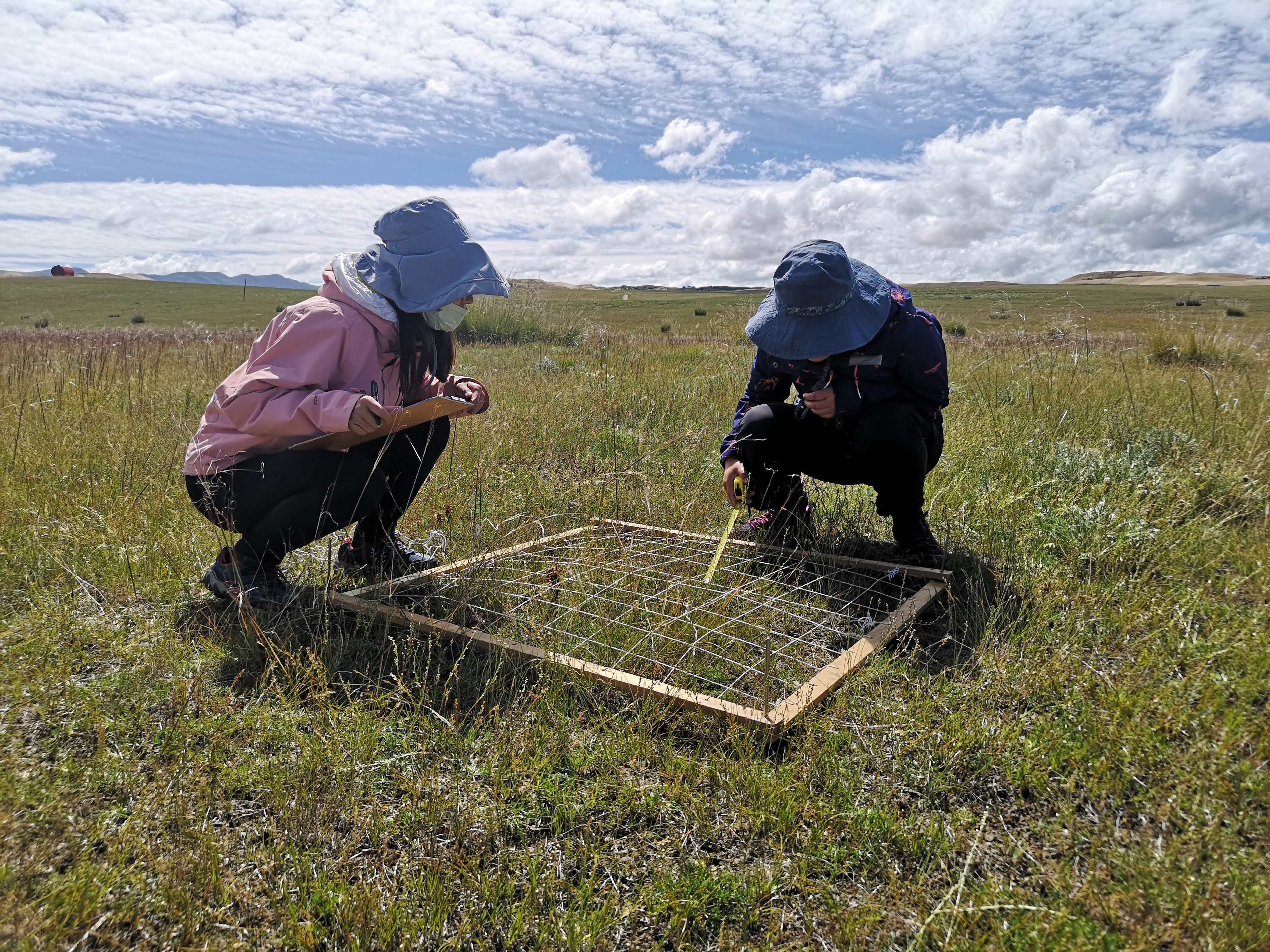 Driving factors of stability of terrestrial ecosystems on the Tibetan plateau